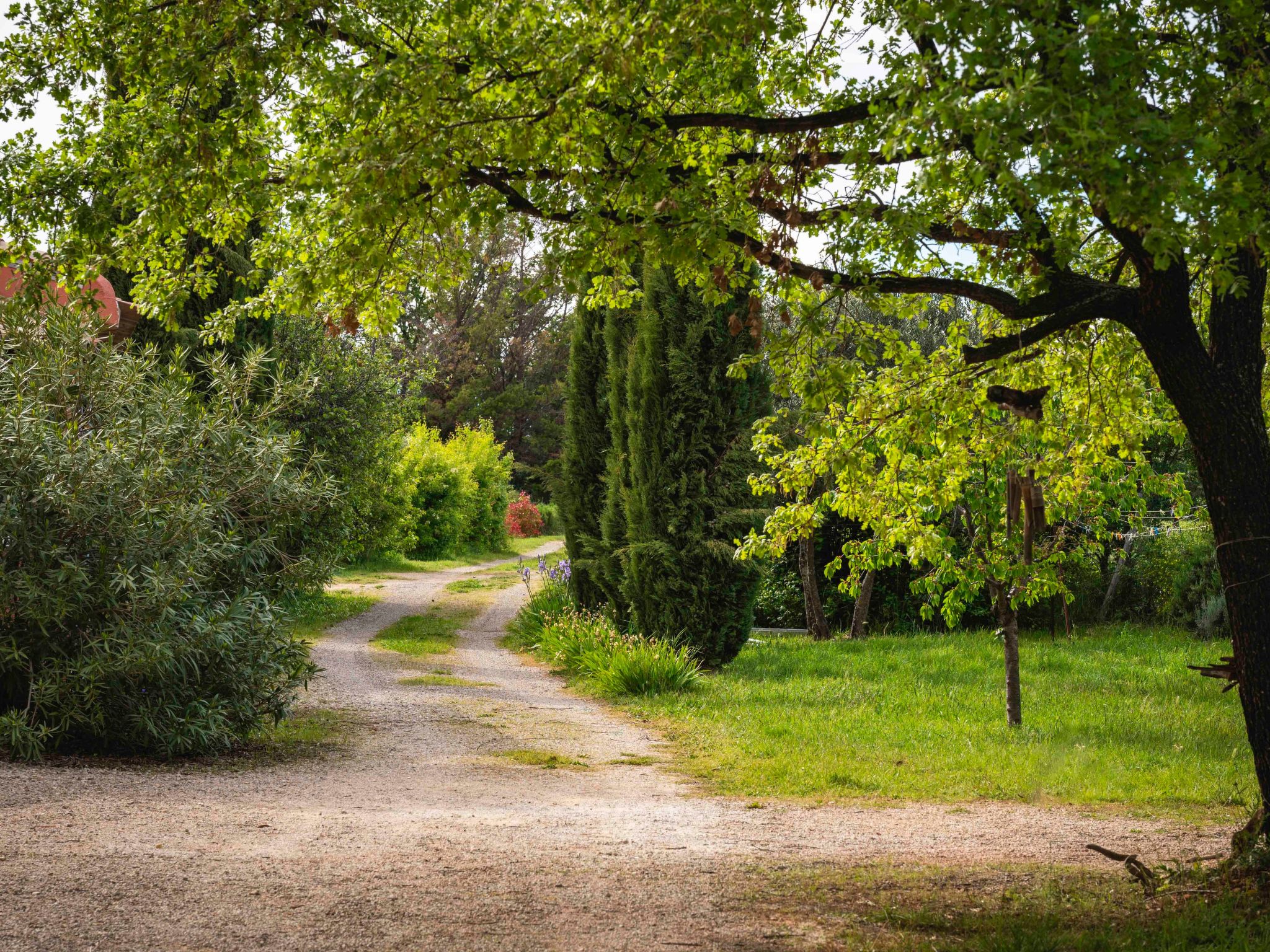 Le mas de l'Aven Unterkunft le mûrier-Image-tags.info