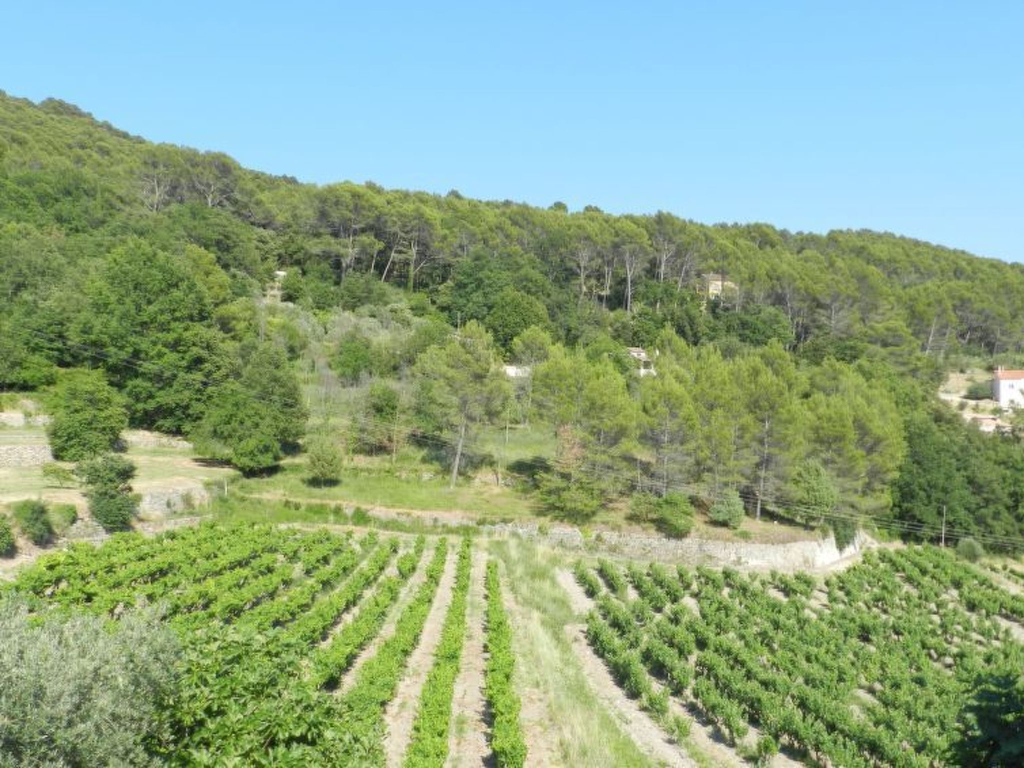 In Draguignan, Côte d'Azur-Binnen
