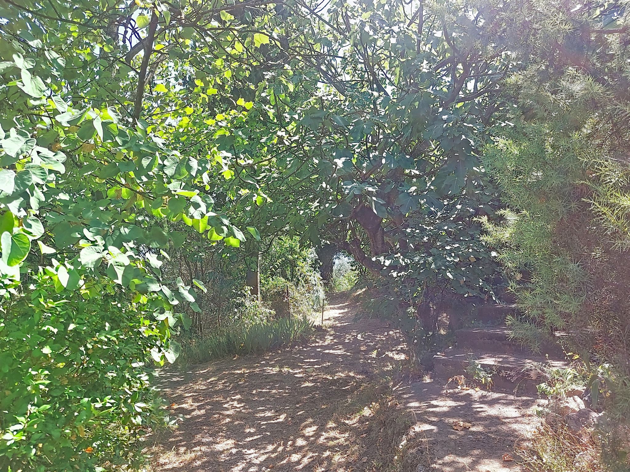 Les Sources - Buiten