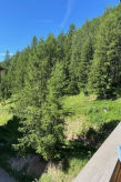Studio aan de piste in La Foux d'Allos met verwarmd zwembad - thumbnail 5