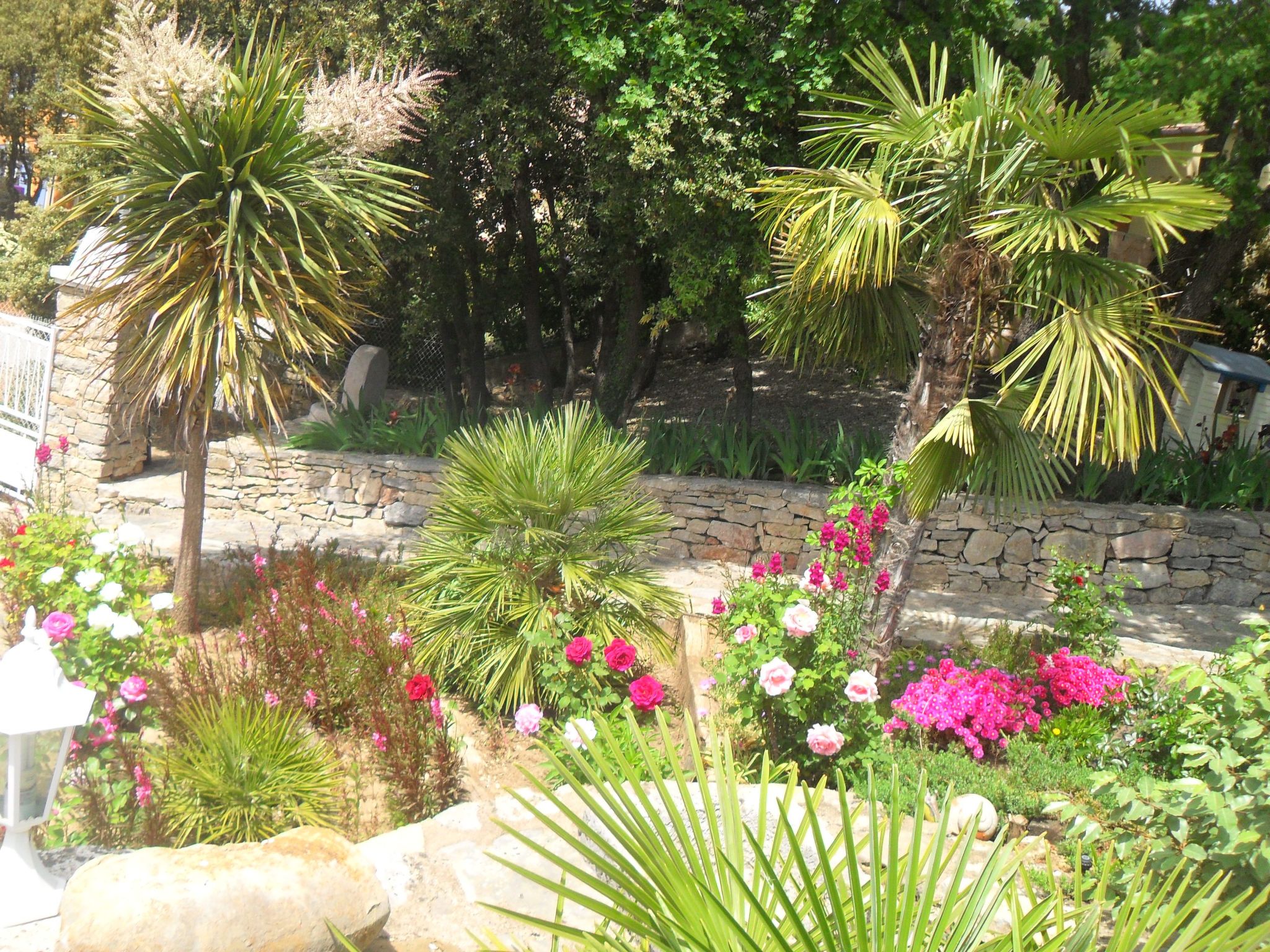 Beheizter Pool ab Mitte April-Inside