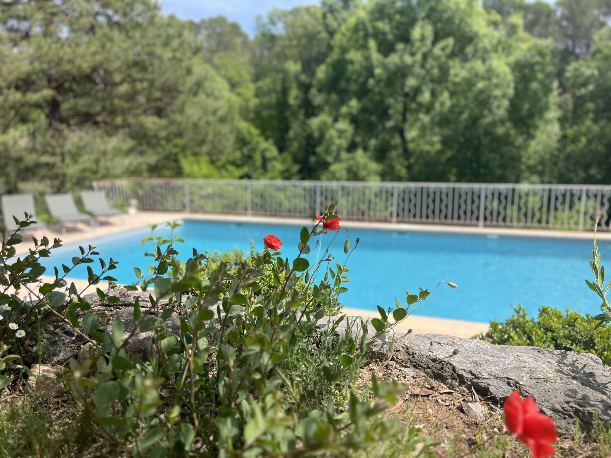 Campagne la Rivière