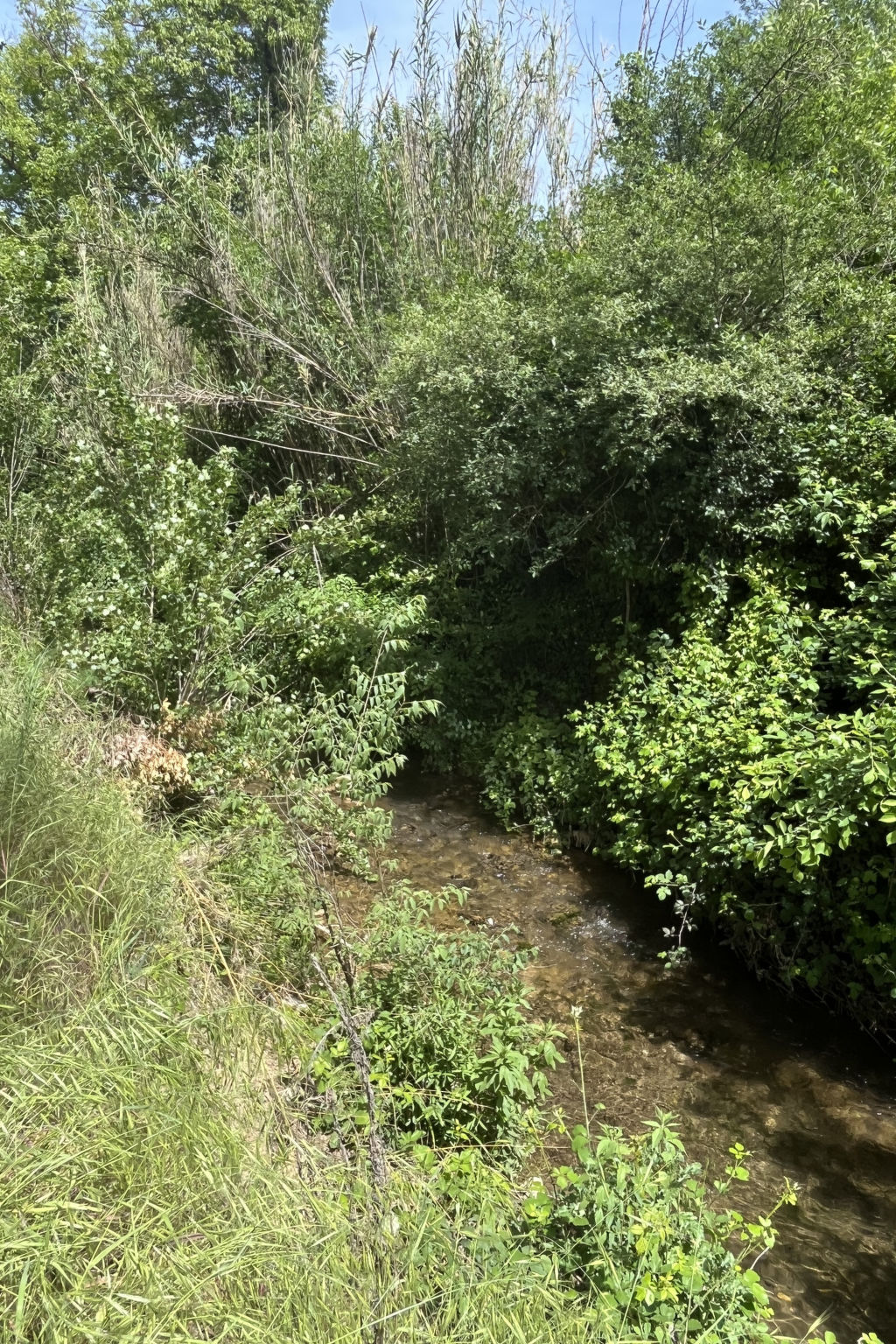 Campagne la Rivière - Dehors