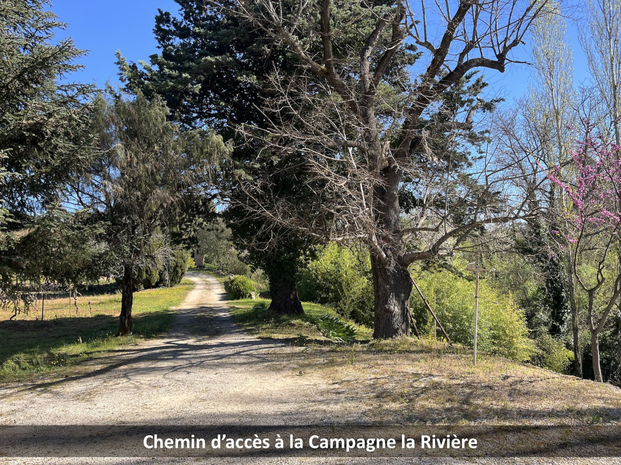 Campagne la Rivière - Dehors