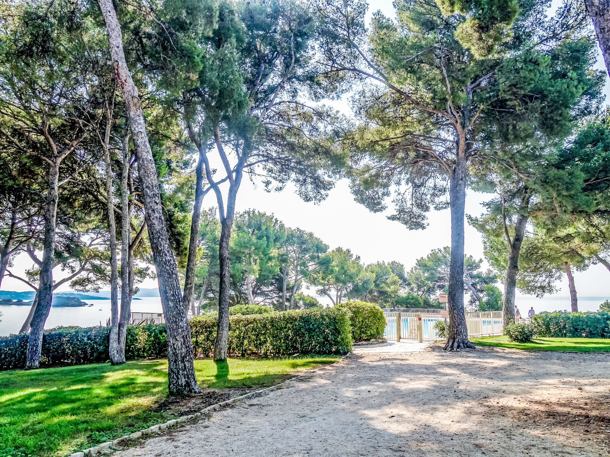 Photo of Athéna Résidence