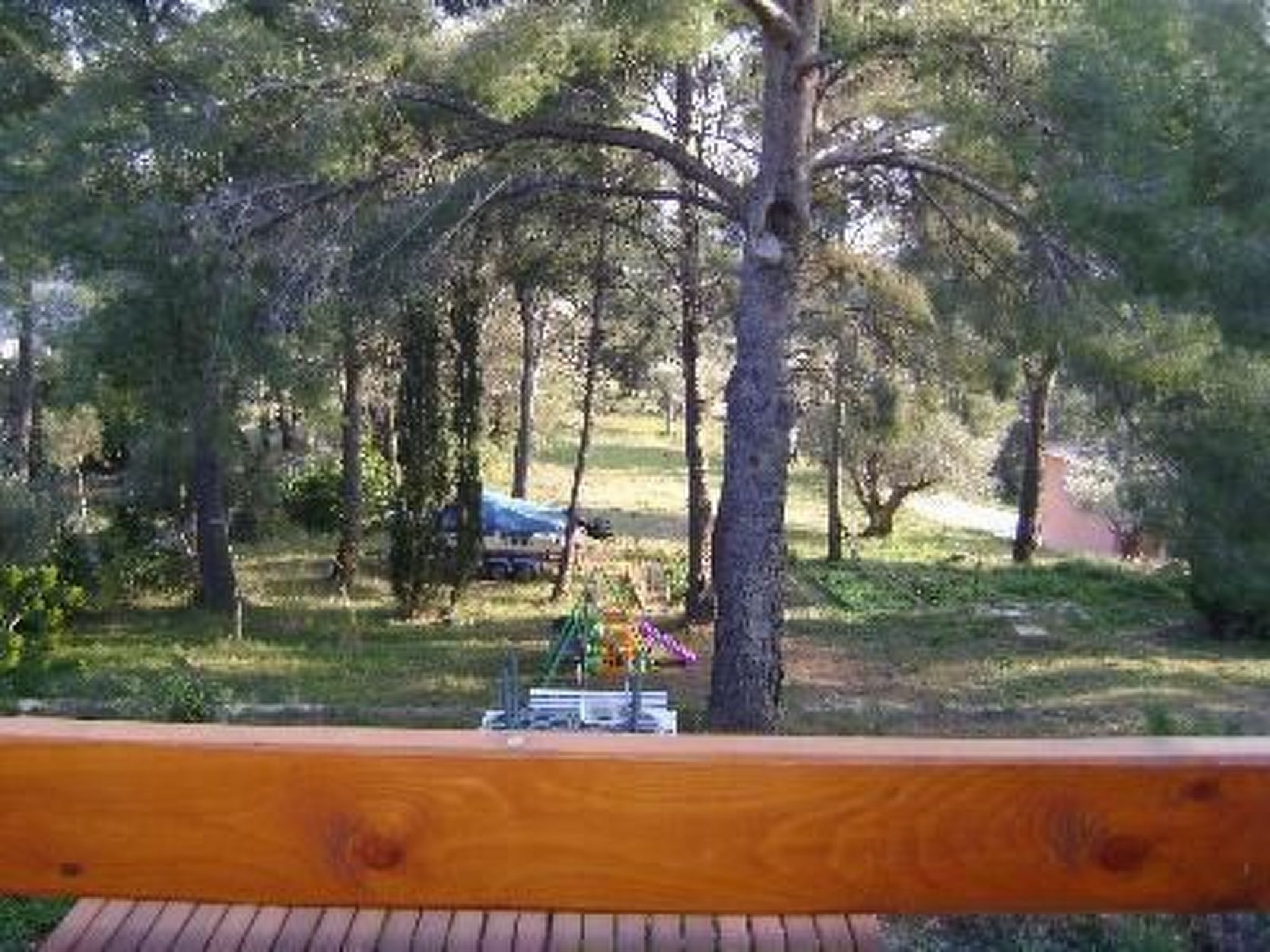 Mit Terrasse, mitten in der Natur-Binnen