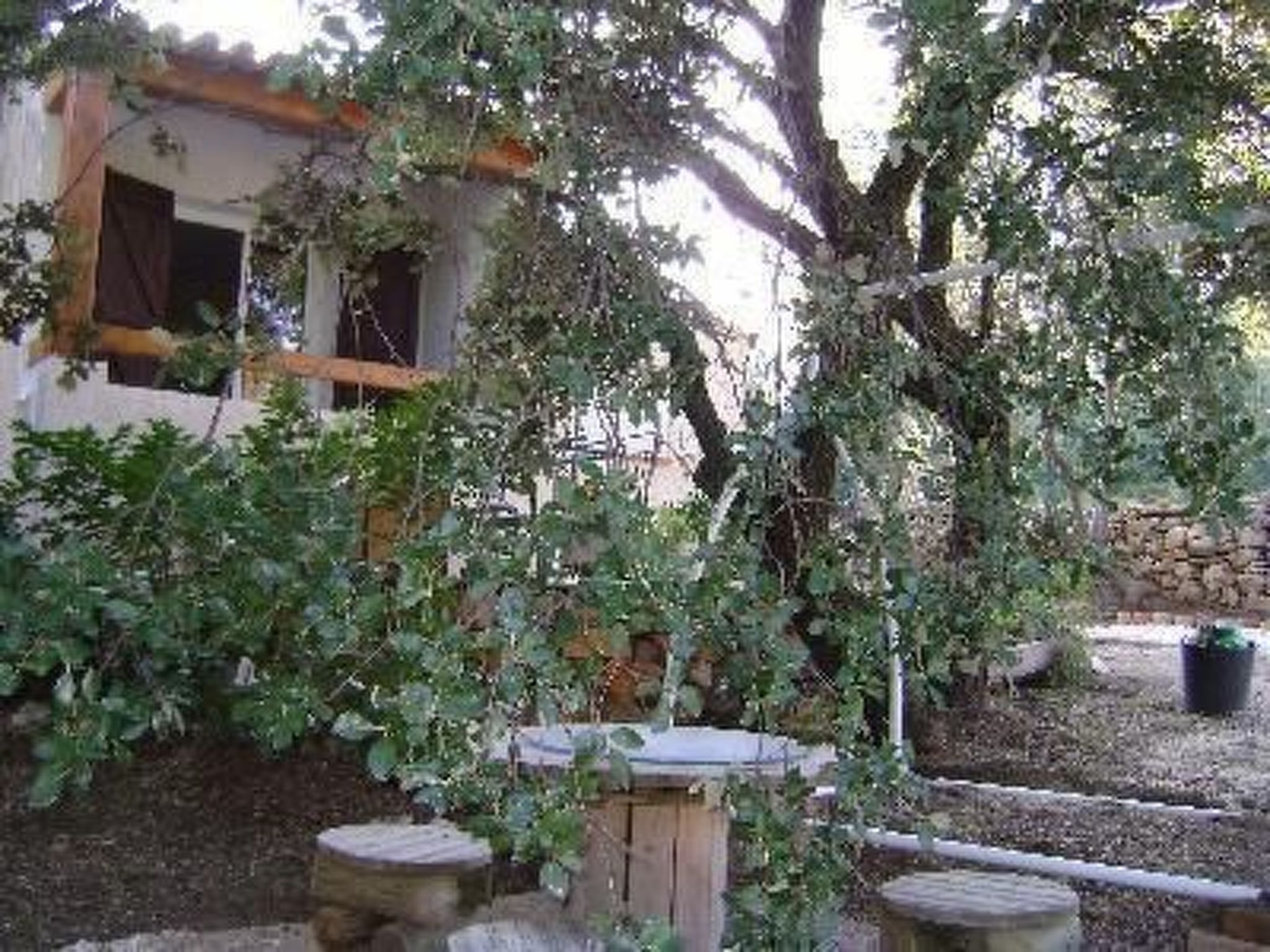 Mit Terrasse, mitten in der Natur-Binnen