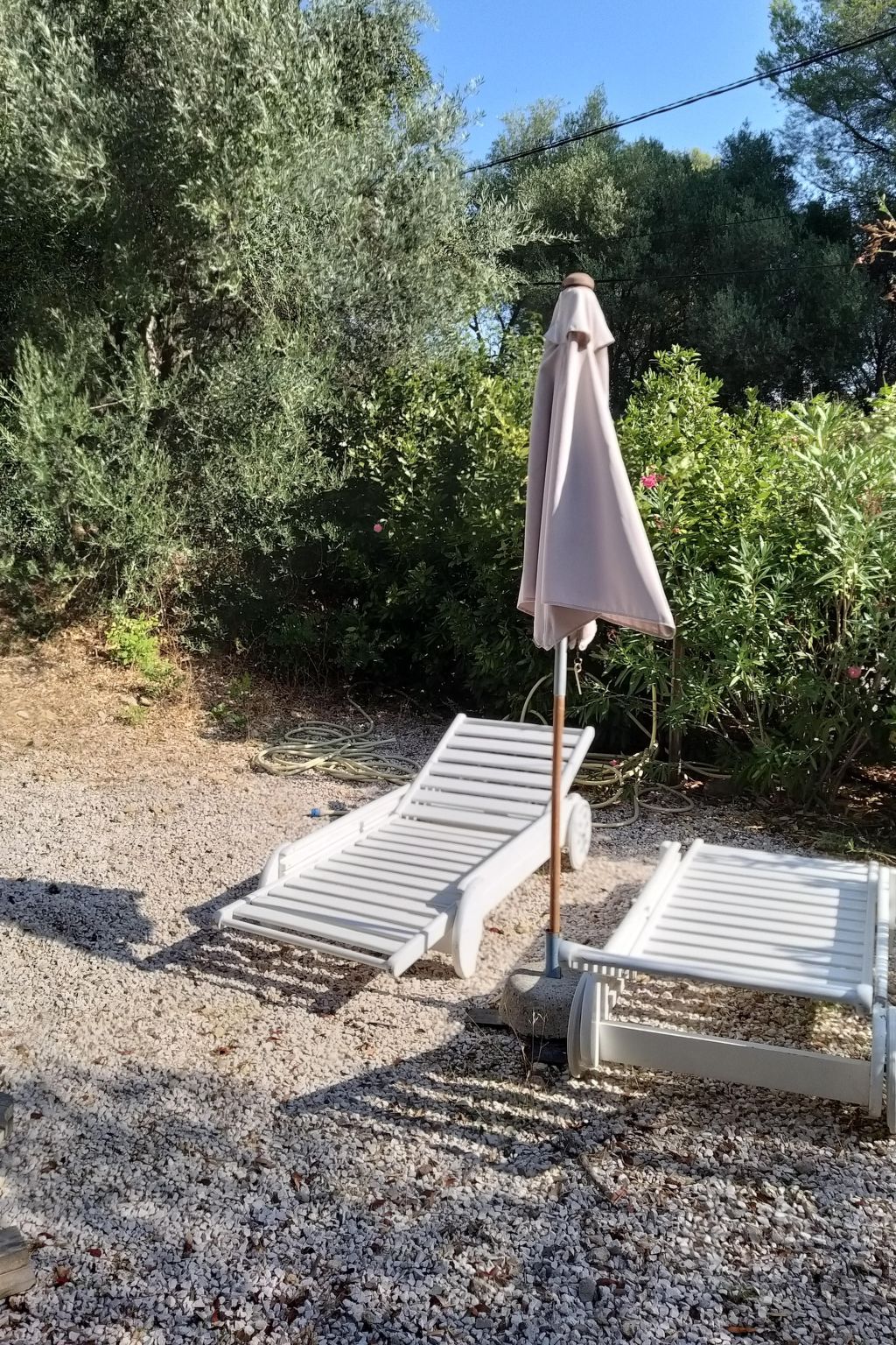 Mit Terrasse, mitten in der Natur-Binnen
