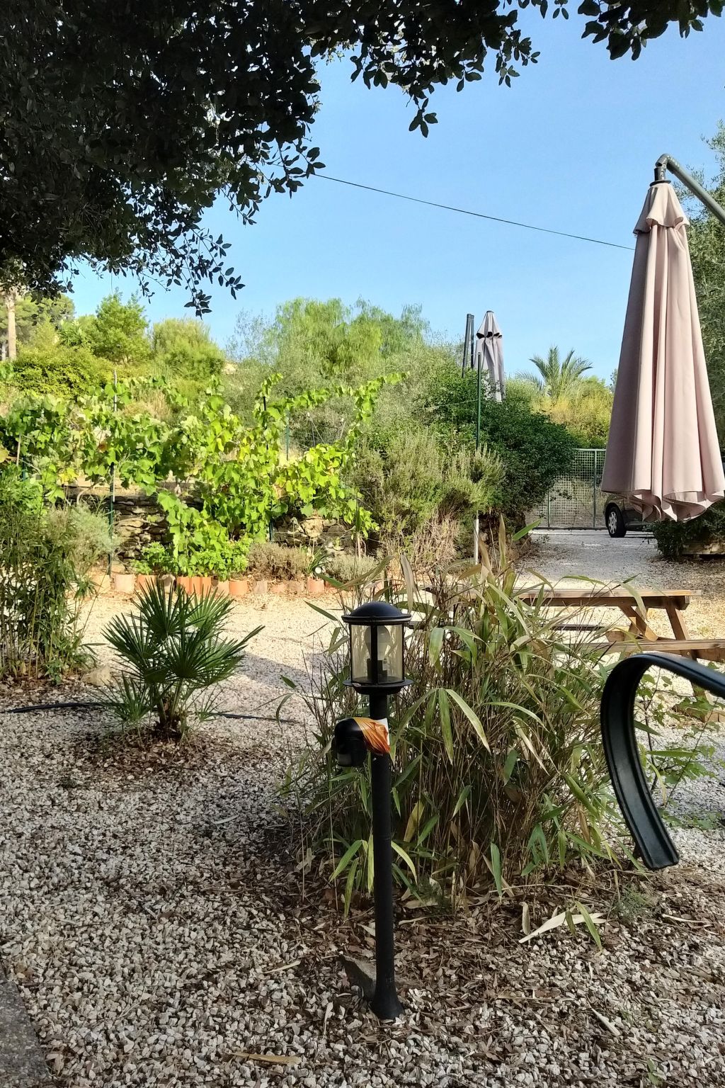 Mit Terrasse, mitten in der Natur-Binnen