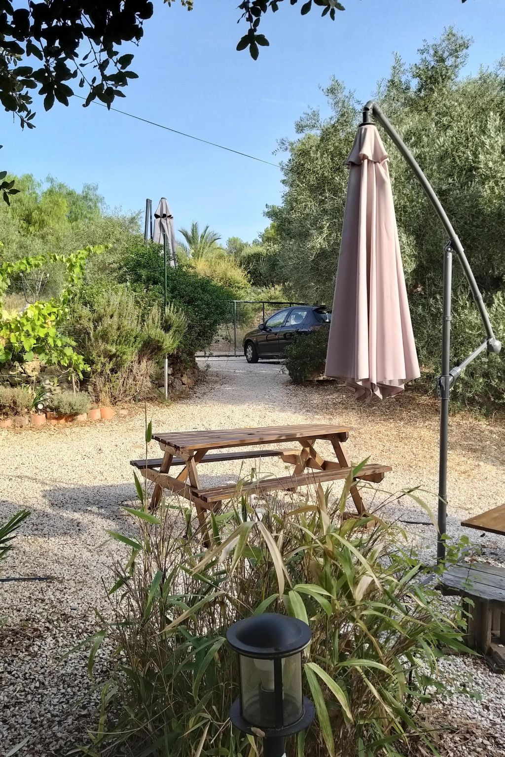 Mit Terrasse, mitten in der Natur-Binnen