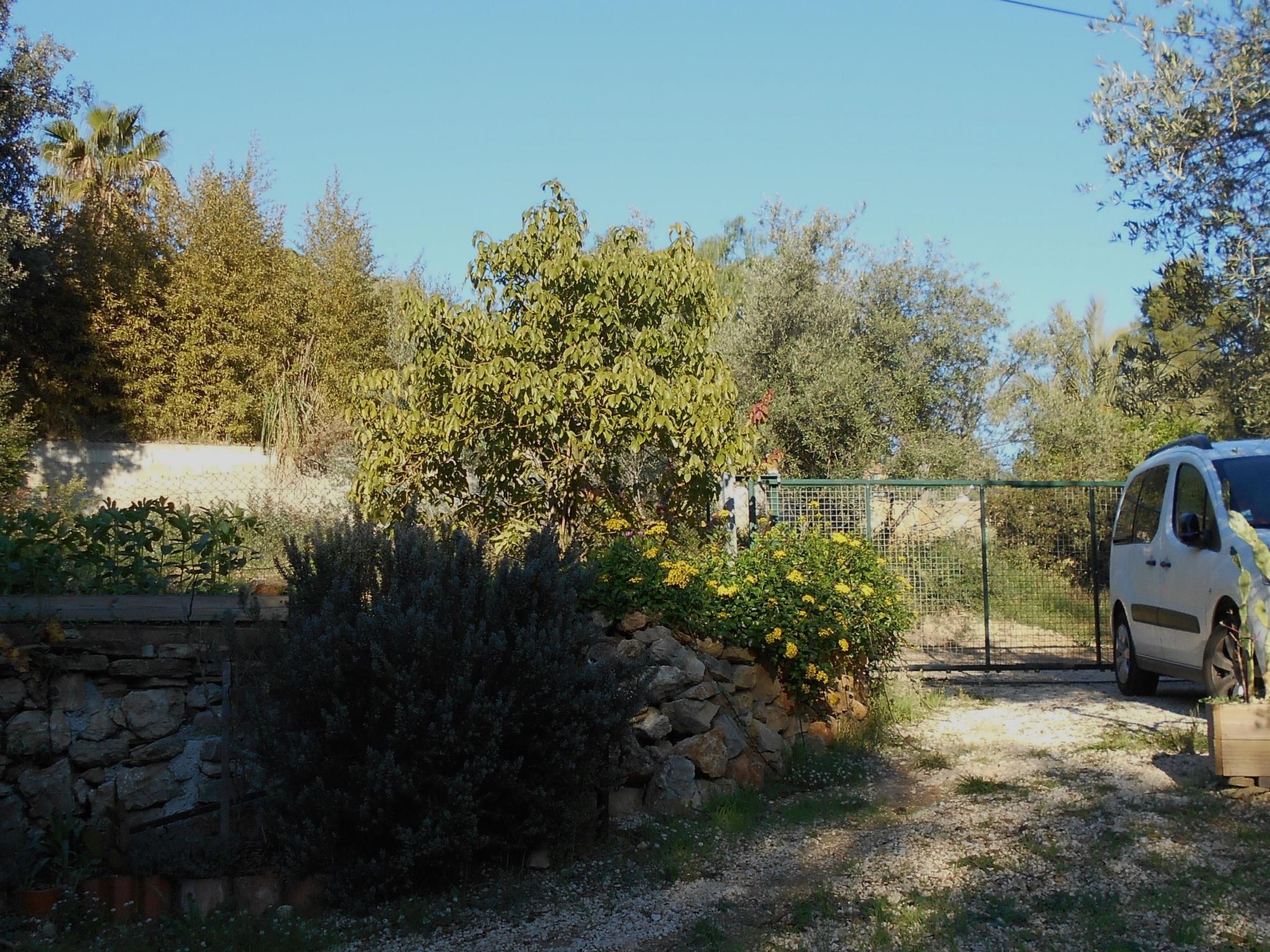 Mit Terrasse, mitten in der Natur-Binnen