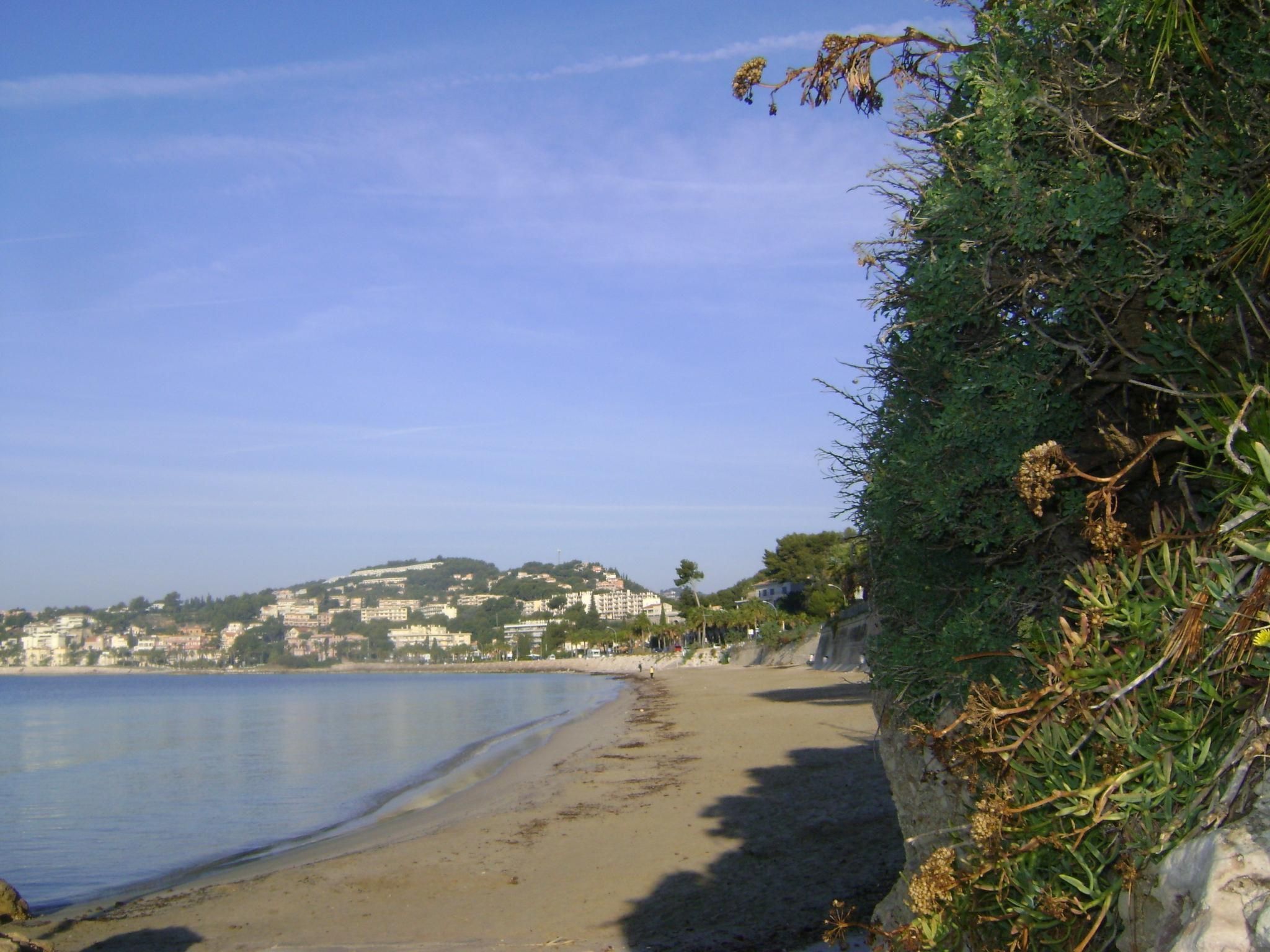 Mit Terrasse, mitten in der Natur-Binnen