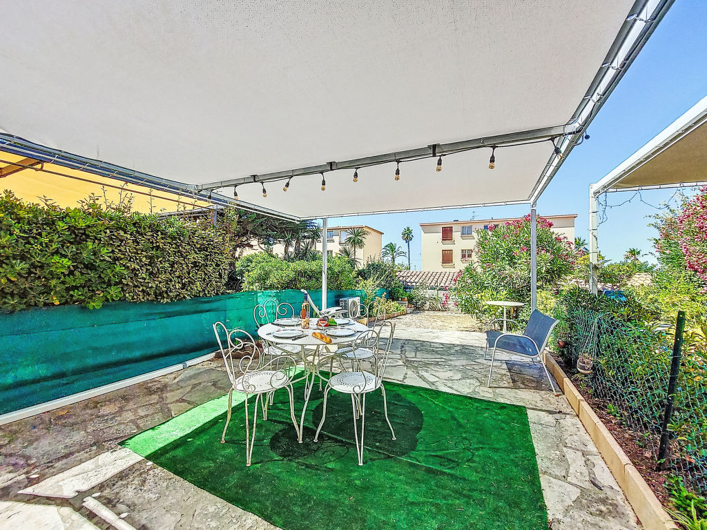 L'étoile de la mer.