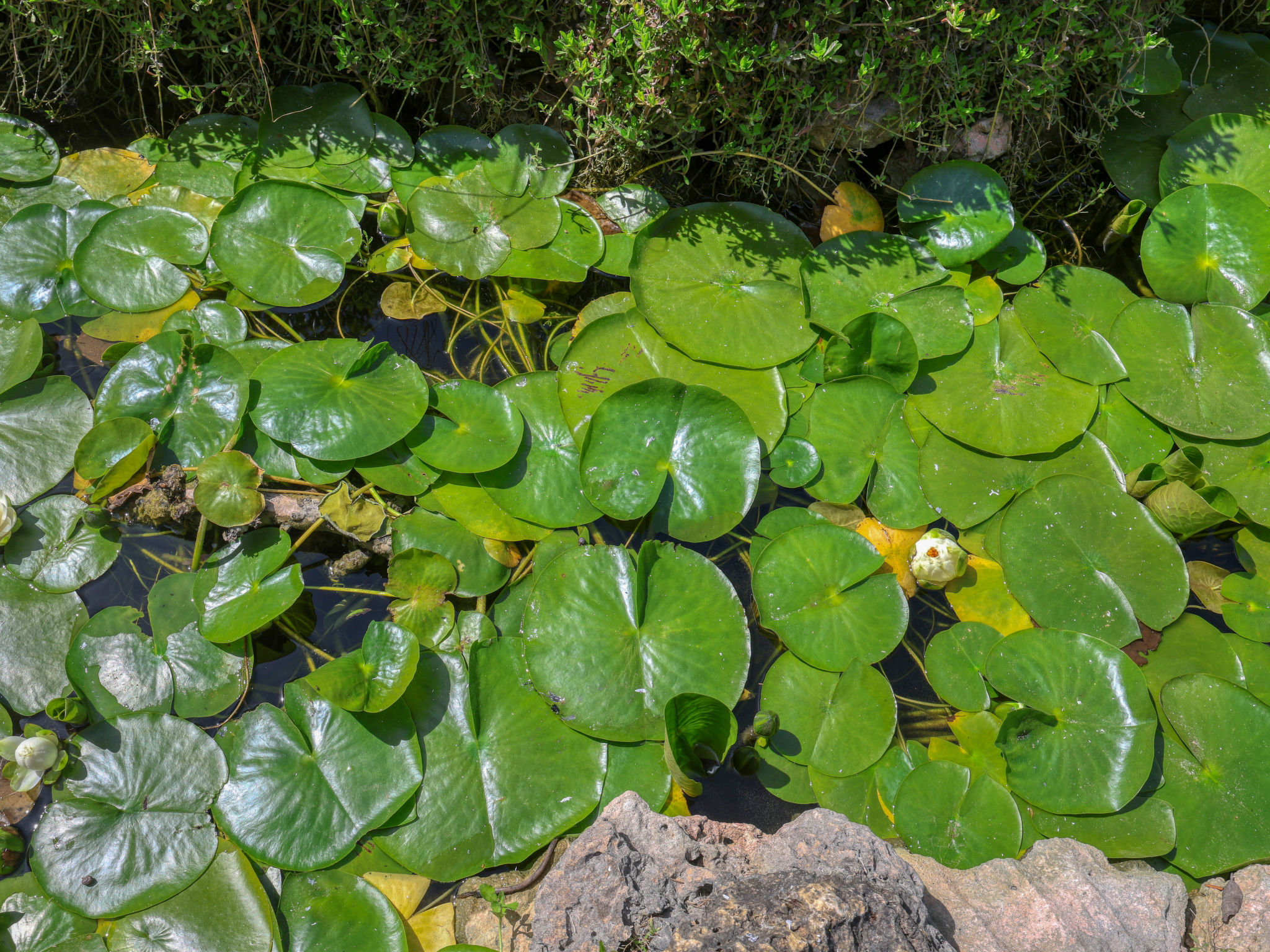 Kisokawa - Buiten