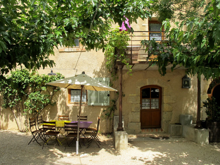 Terres Ste Hilaire - Ciste (OLL102)