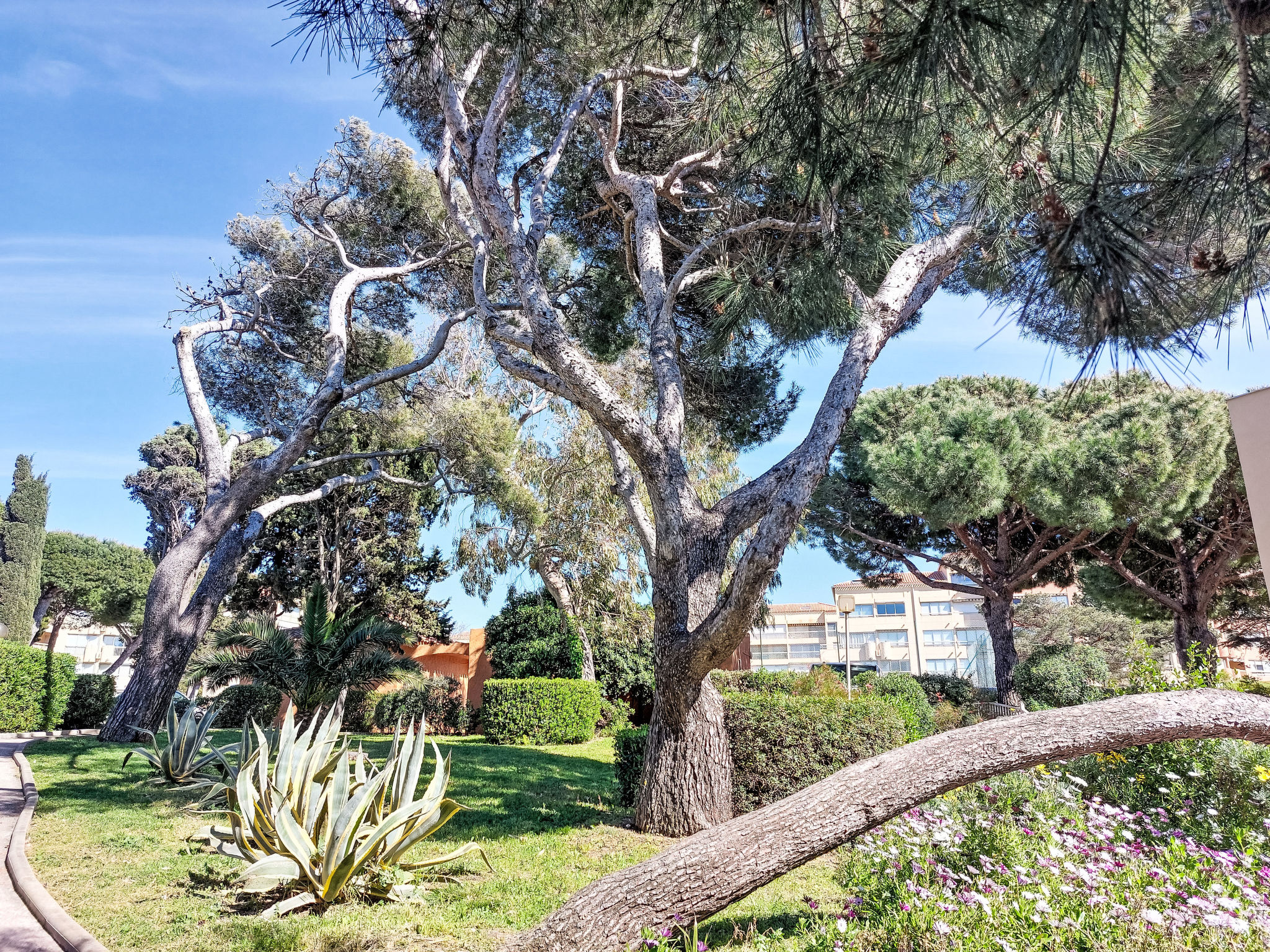 Les Marines d'Aryana - Buiten