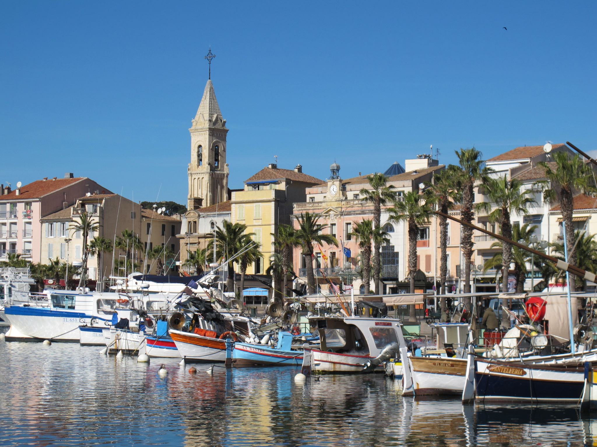 Le Vallon du Roy-Area