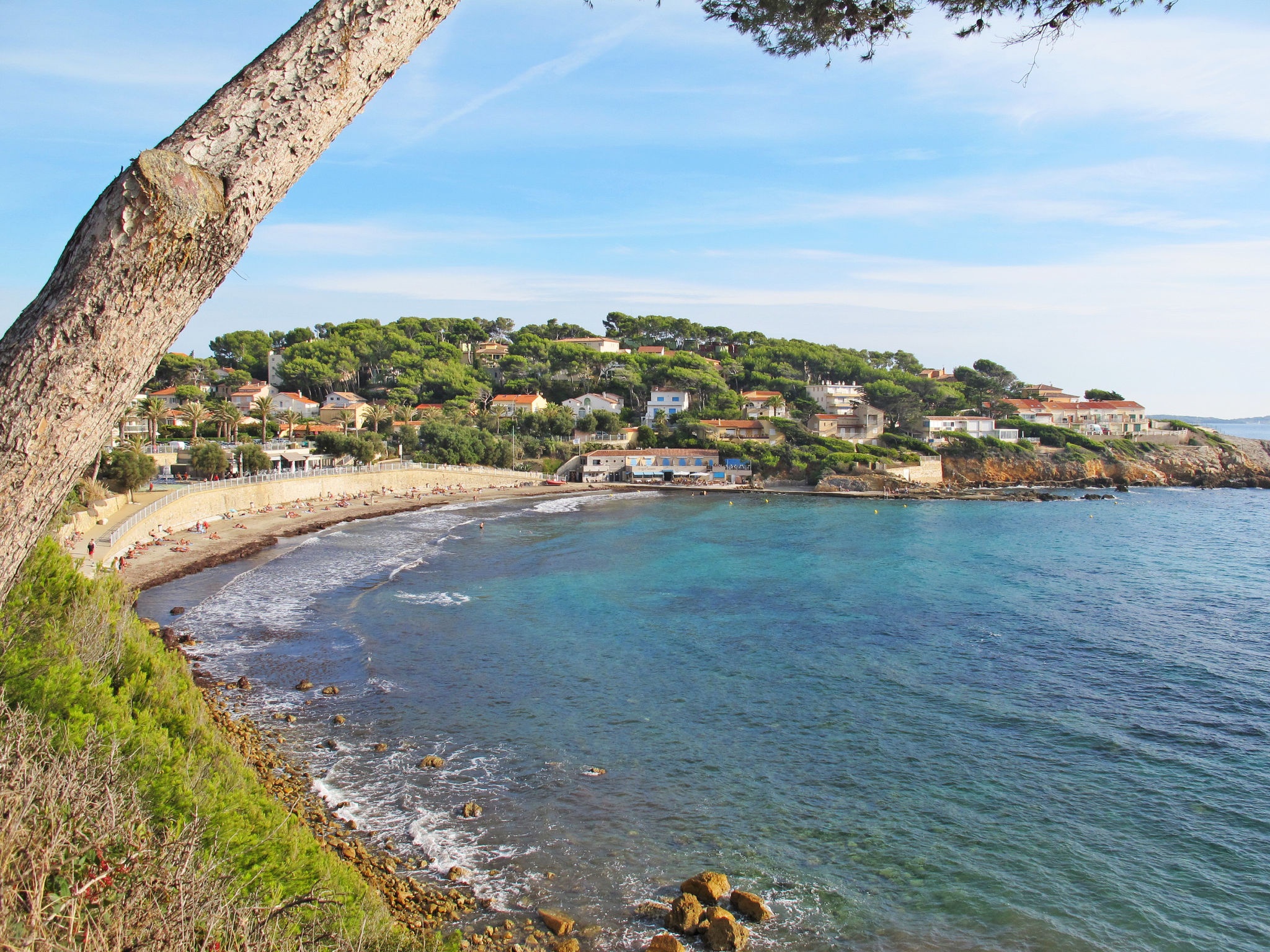 Le Vallon du Roy-Area