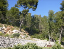 Vakantiehuis Les Oliviers