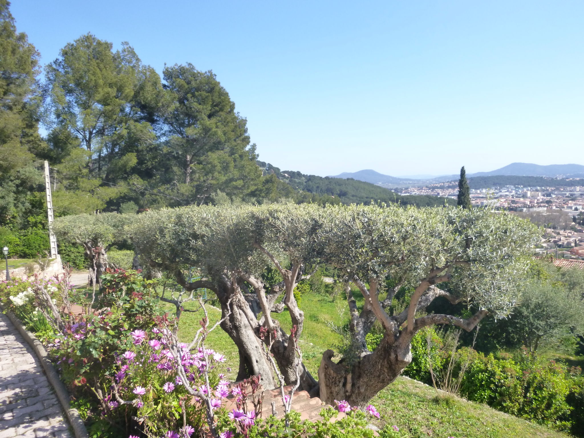 Photo of Les Oliviers