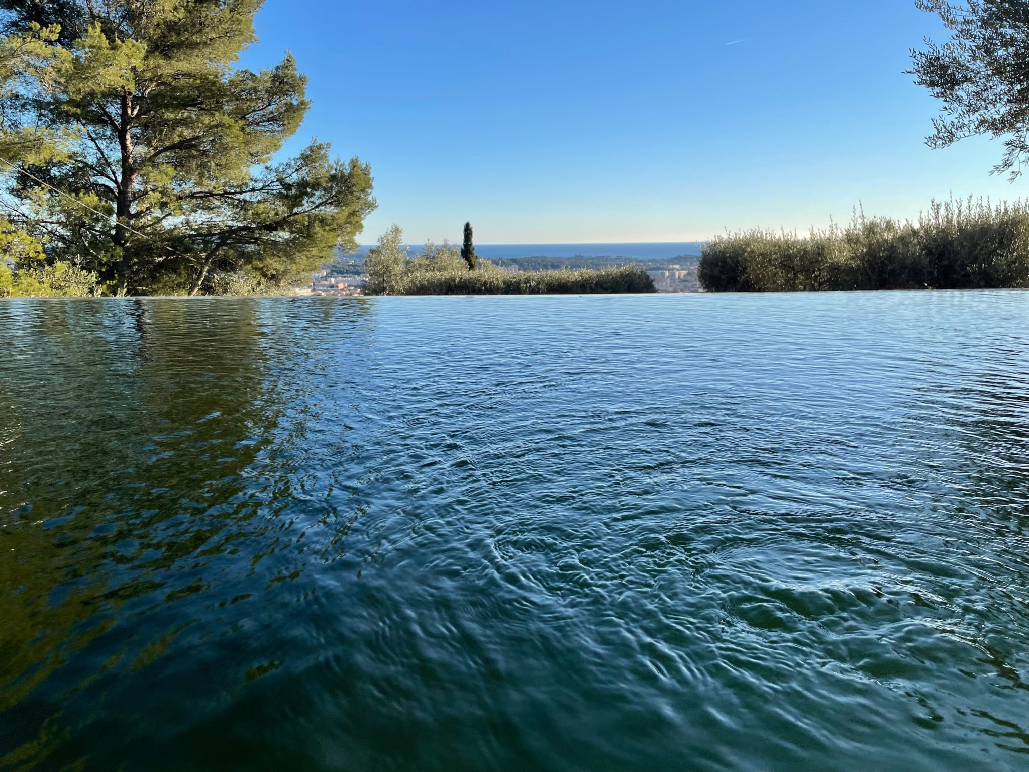 Photo of Les Oliviers