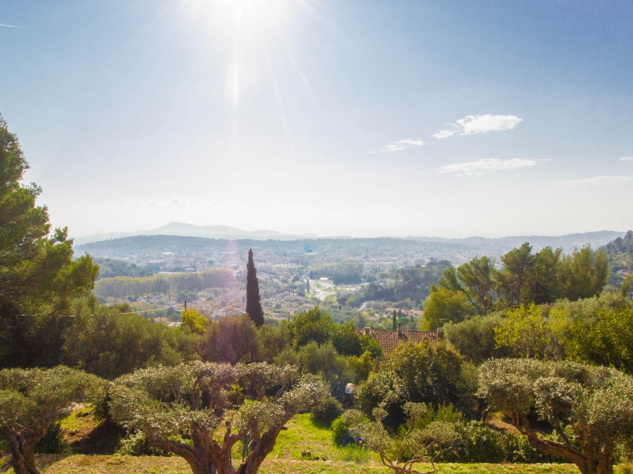 Photo of Les Oliviers