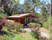 Vrijstaand cottage op 6 ha park met zwembad, 18 km van de Côte d'Azur - thumbnail 2