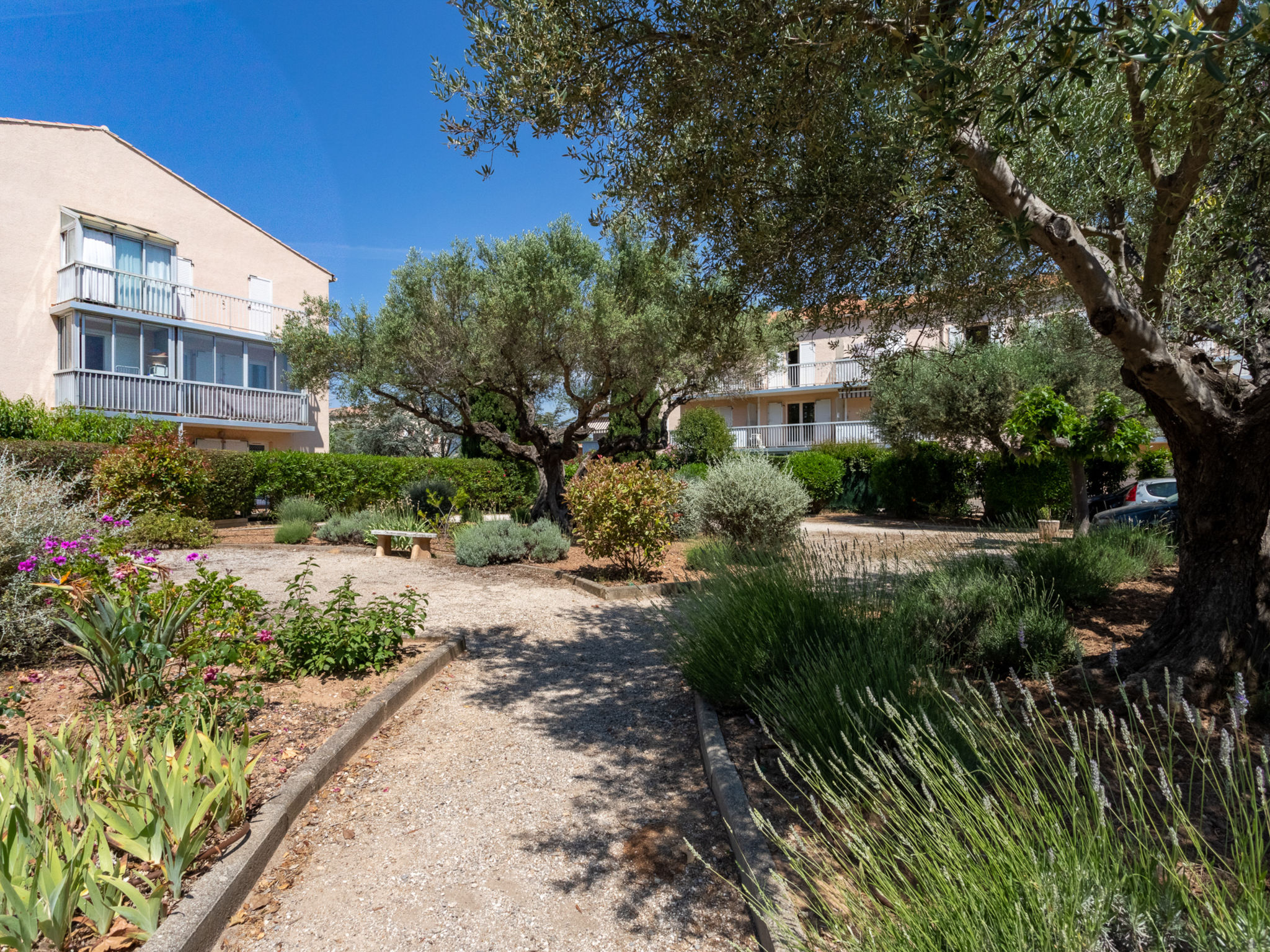 Photo of Les Lavandes