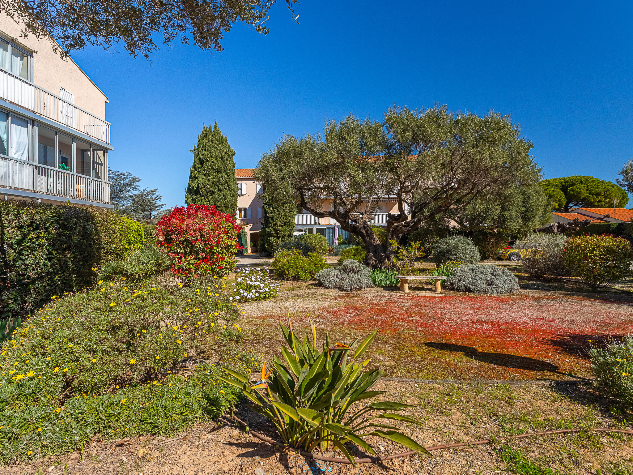 Photo of Les Lavandes