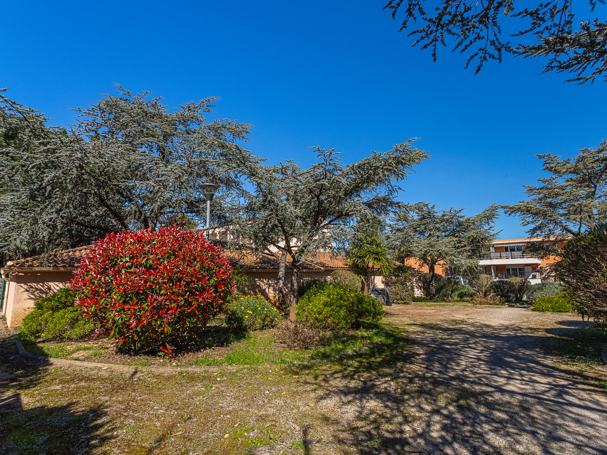 Photo of Les Lavandes