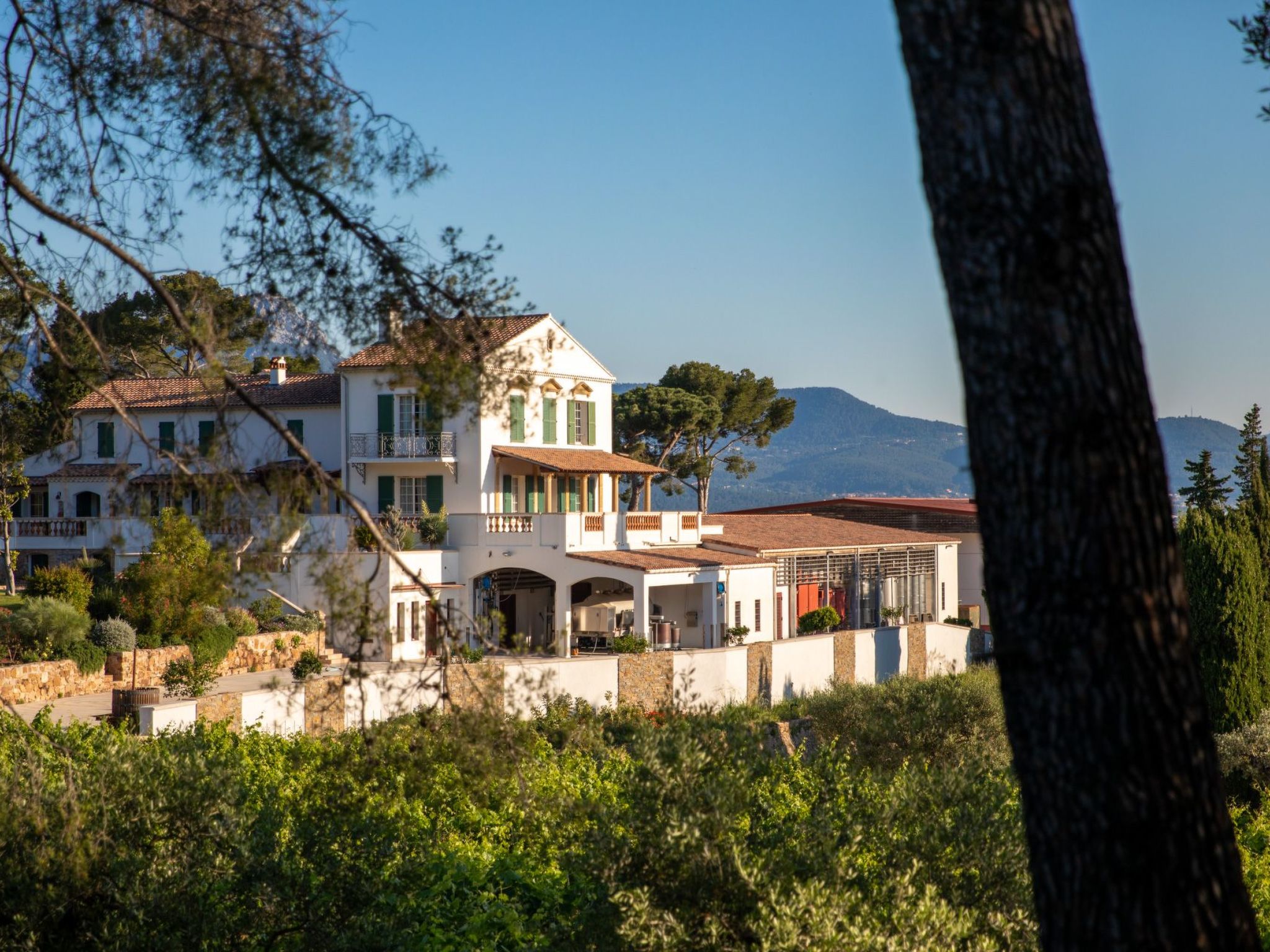 Photo of im Herzen eines Weinguts, schattige Terrasse mit Meerblick, Pool