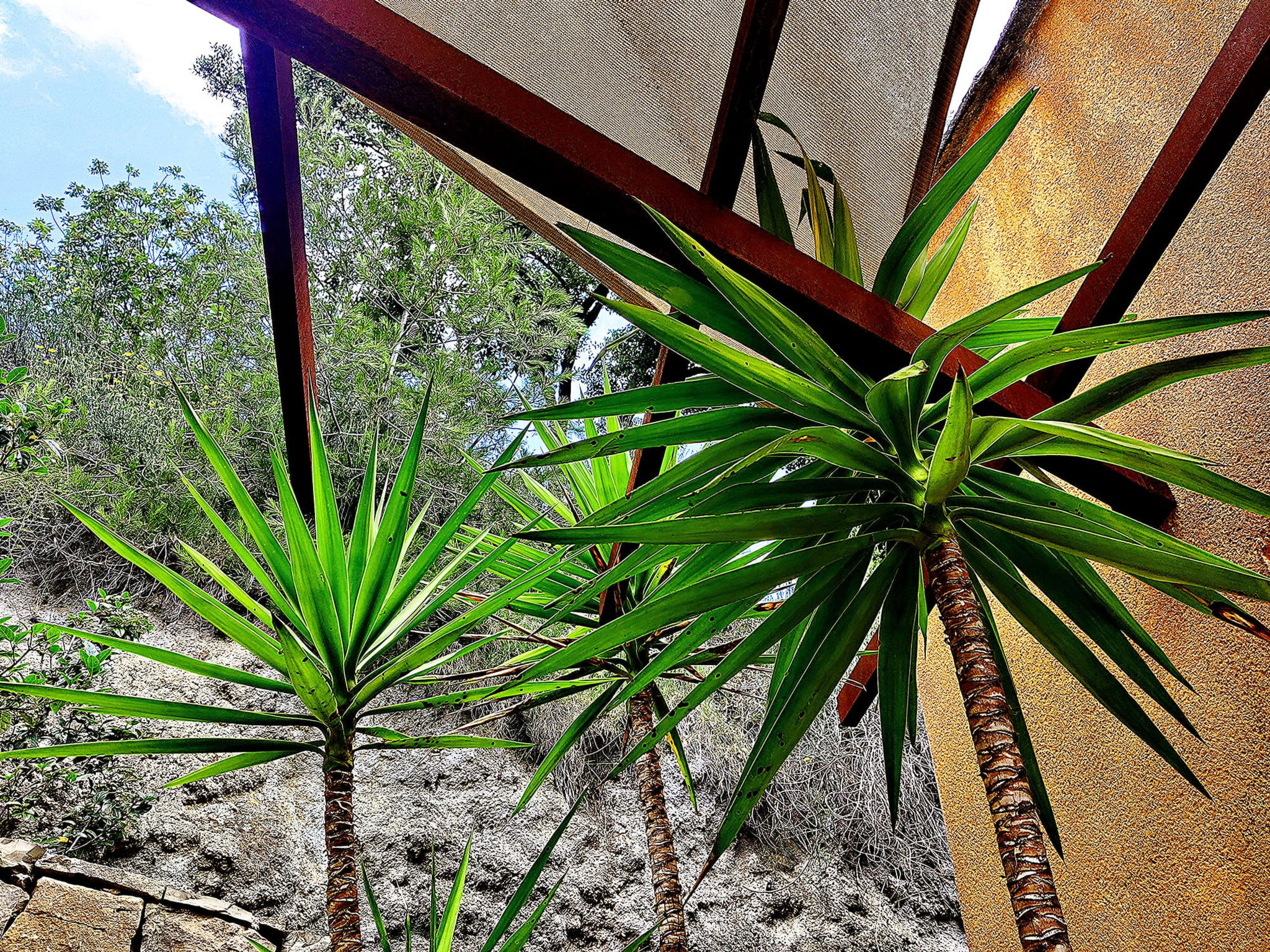 Villa Perroquet - Buiten