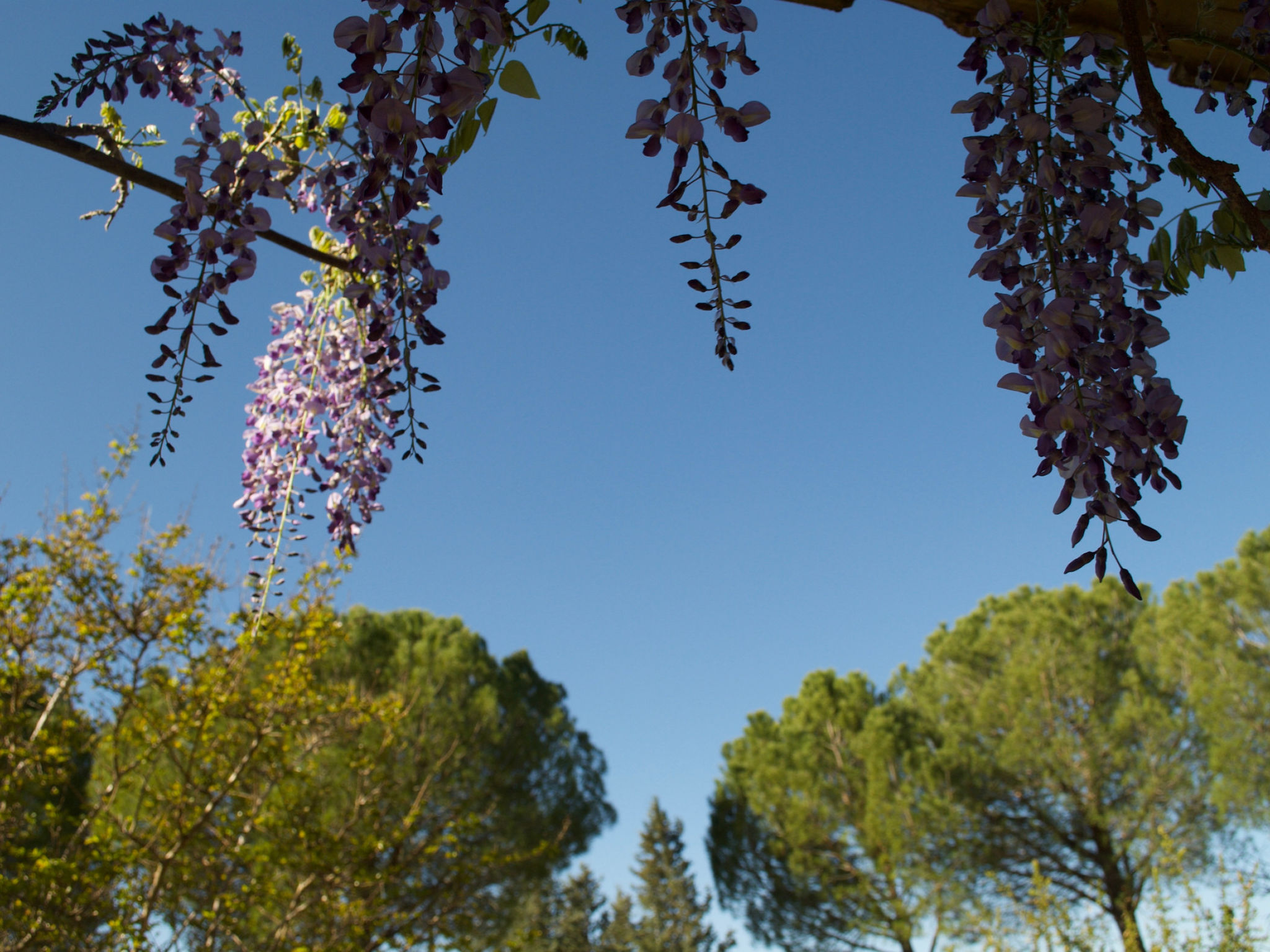 LES VALERIANES - Buiten