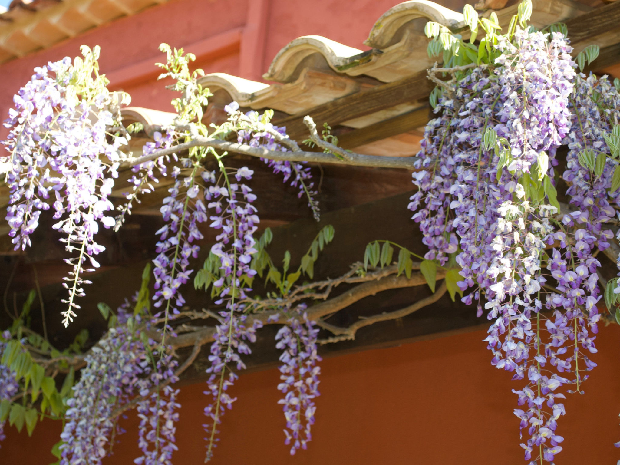 LES VALERIANES - Buiten