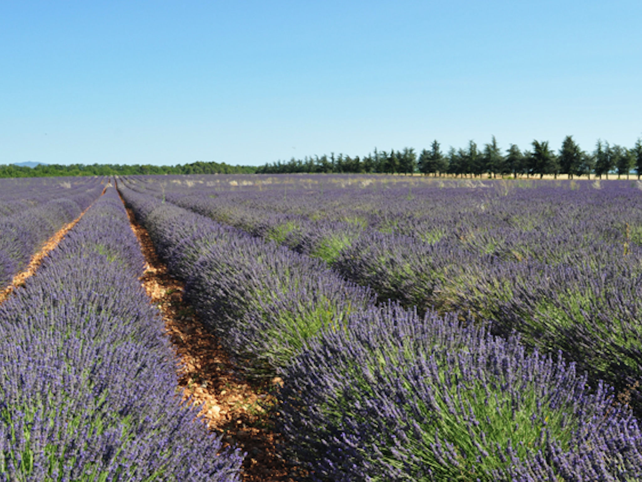 ARTS & FLORES - Buiten