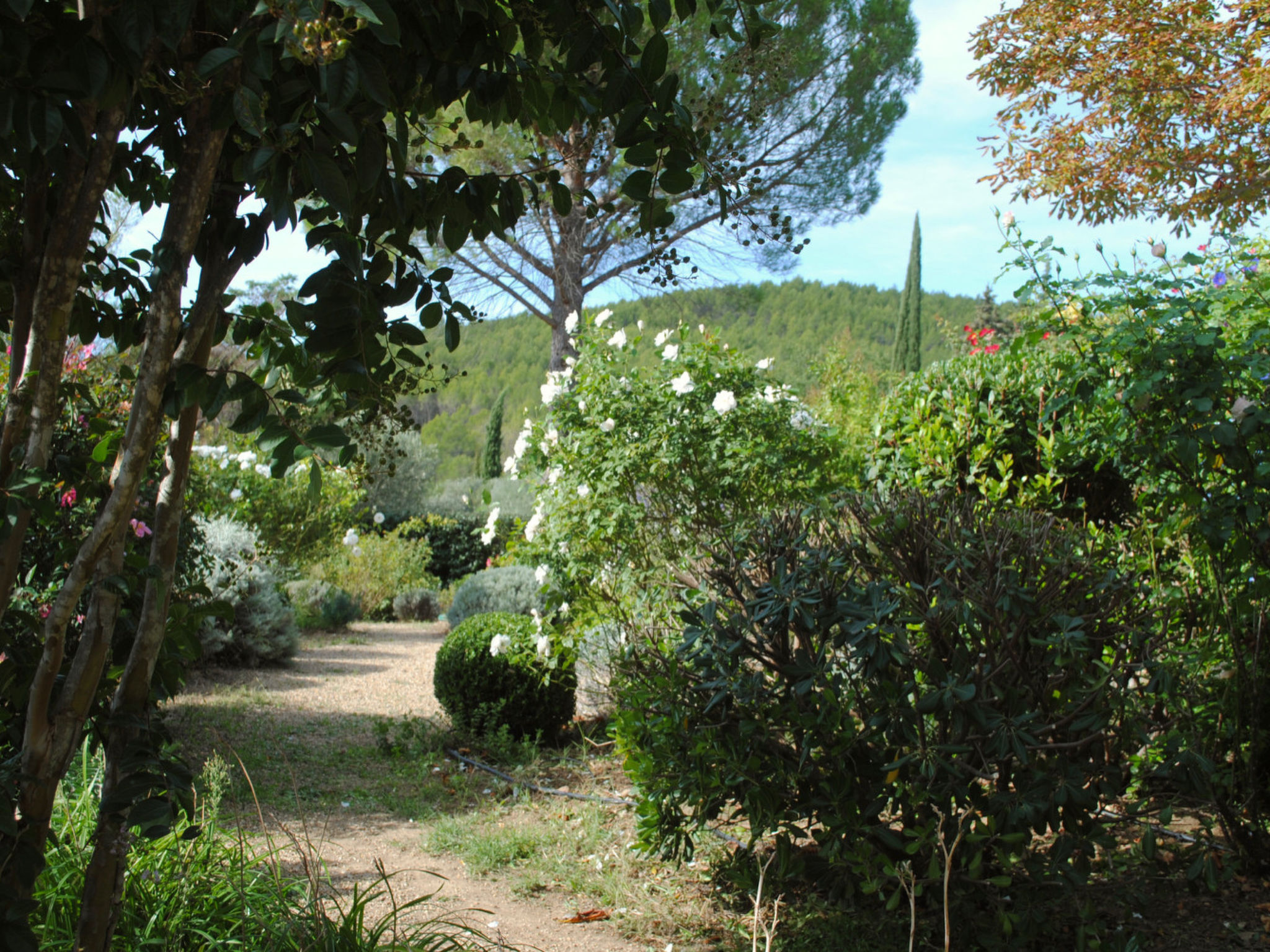 ARTS & FLORES - Buiten