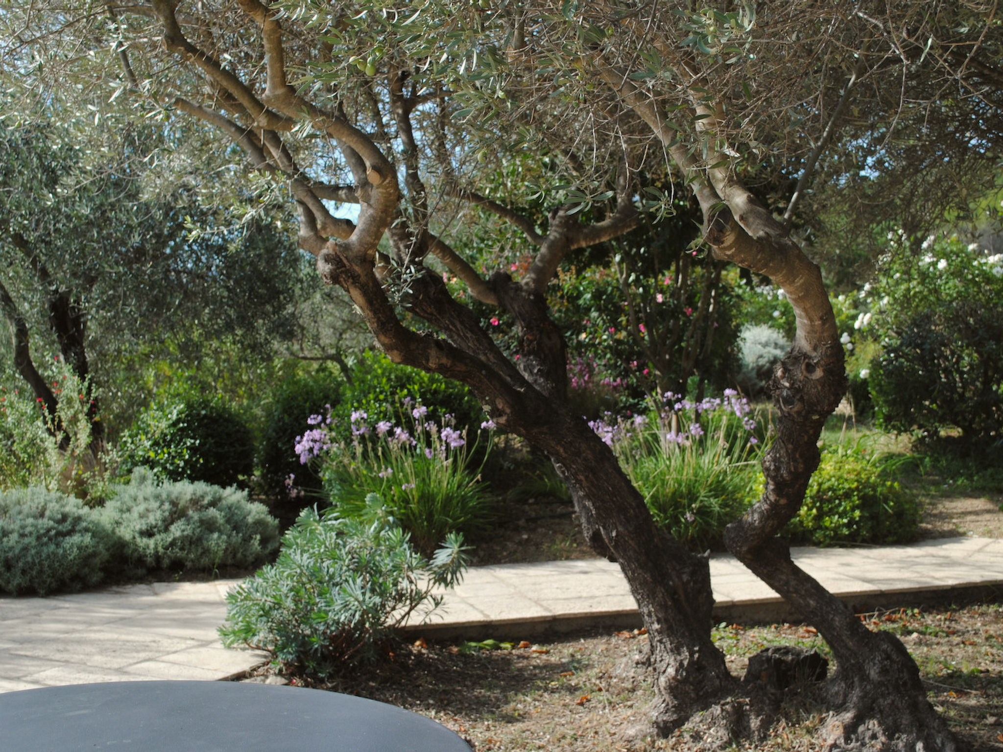 ARTS & FLORES - Buiten