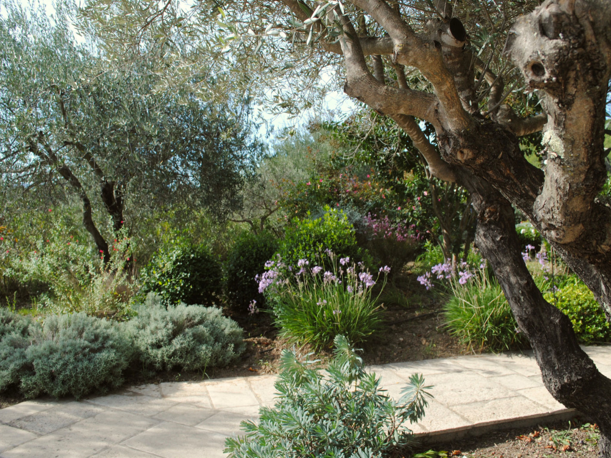 ARTS & FLORES - Buiten