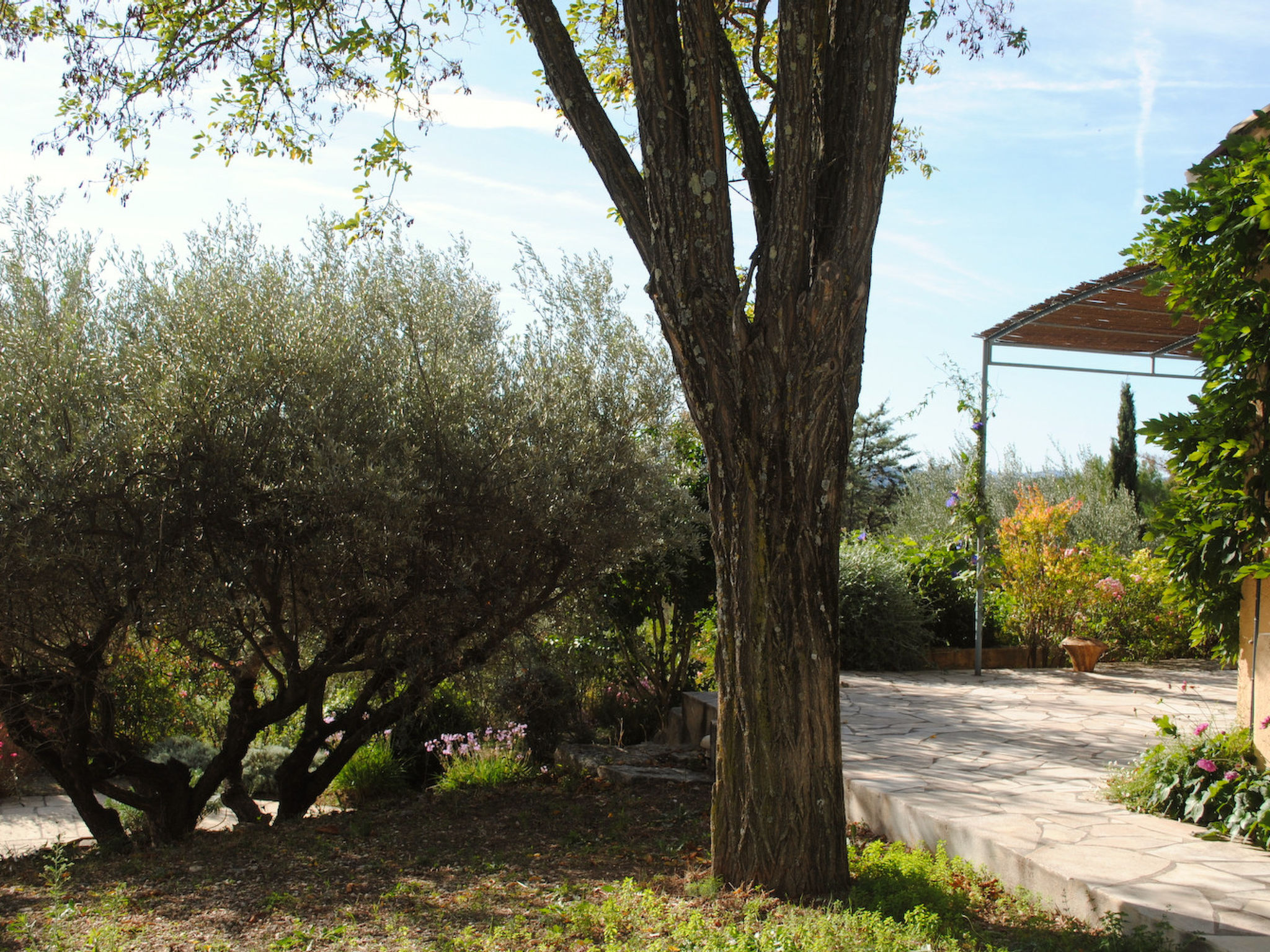 ARTS & FLORES - Buiten