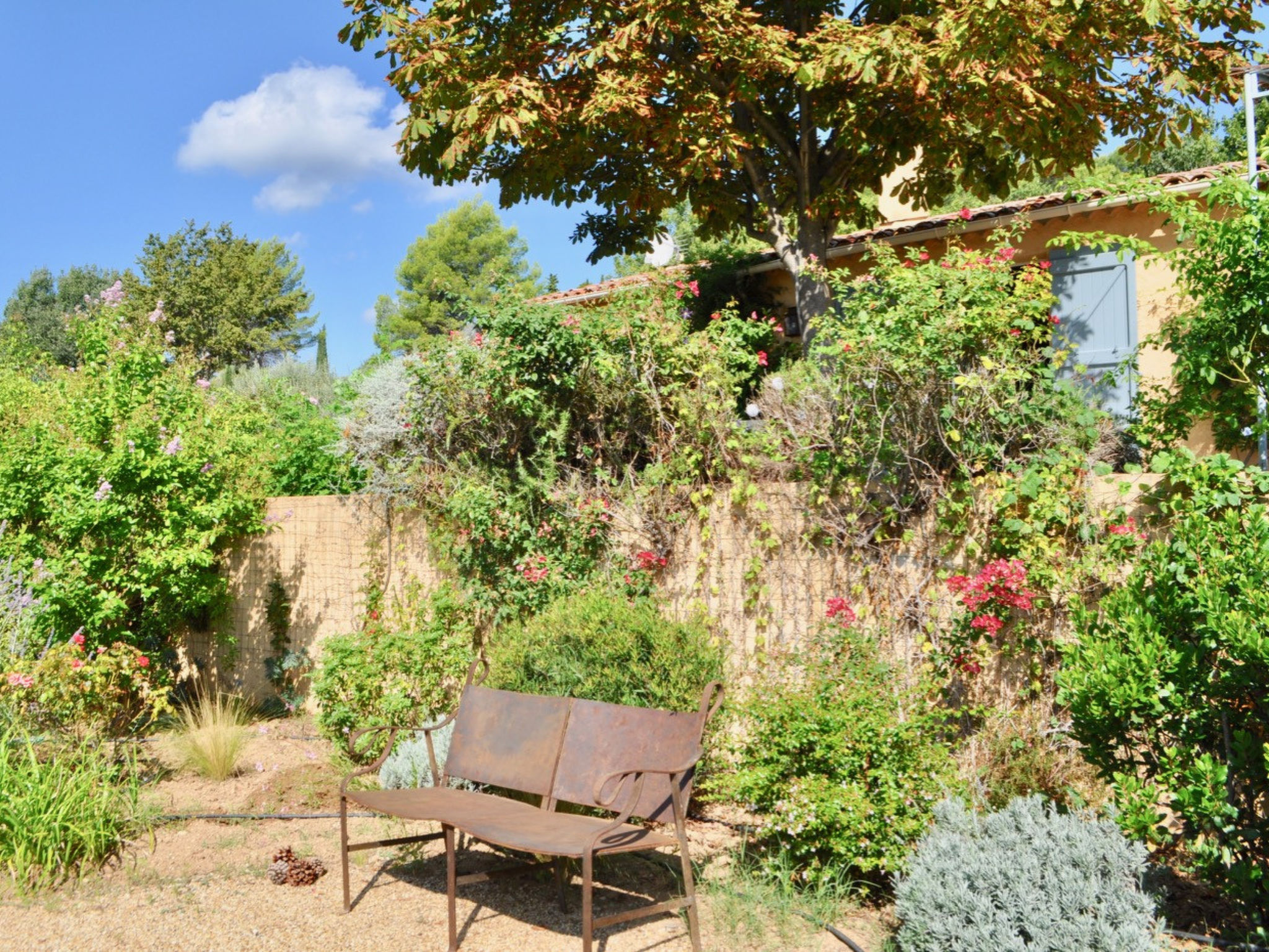 ARTS & FLORES - Buiten