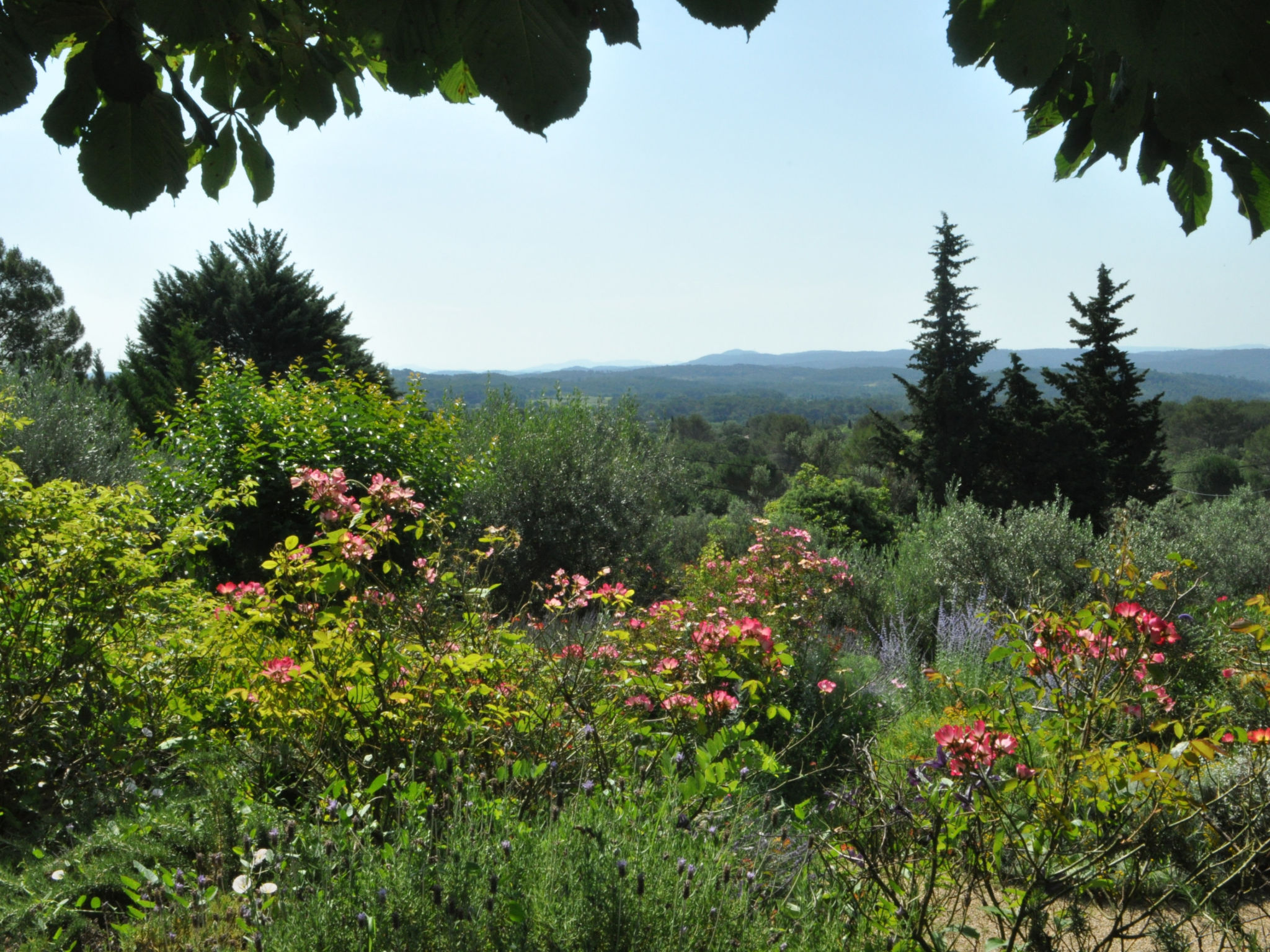 ARTS & FLORES - Buiten