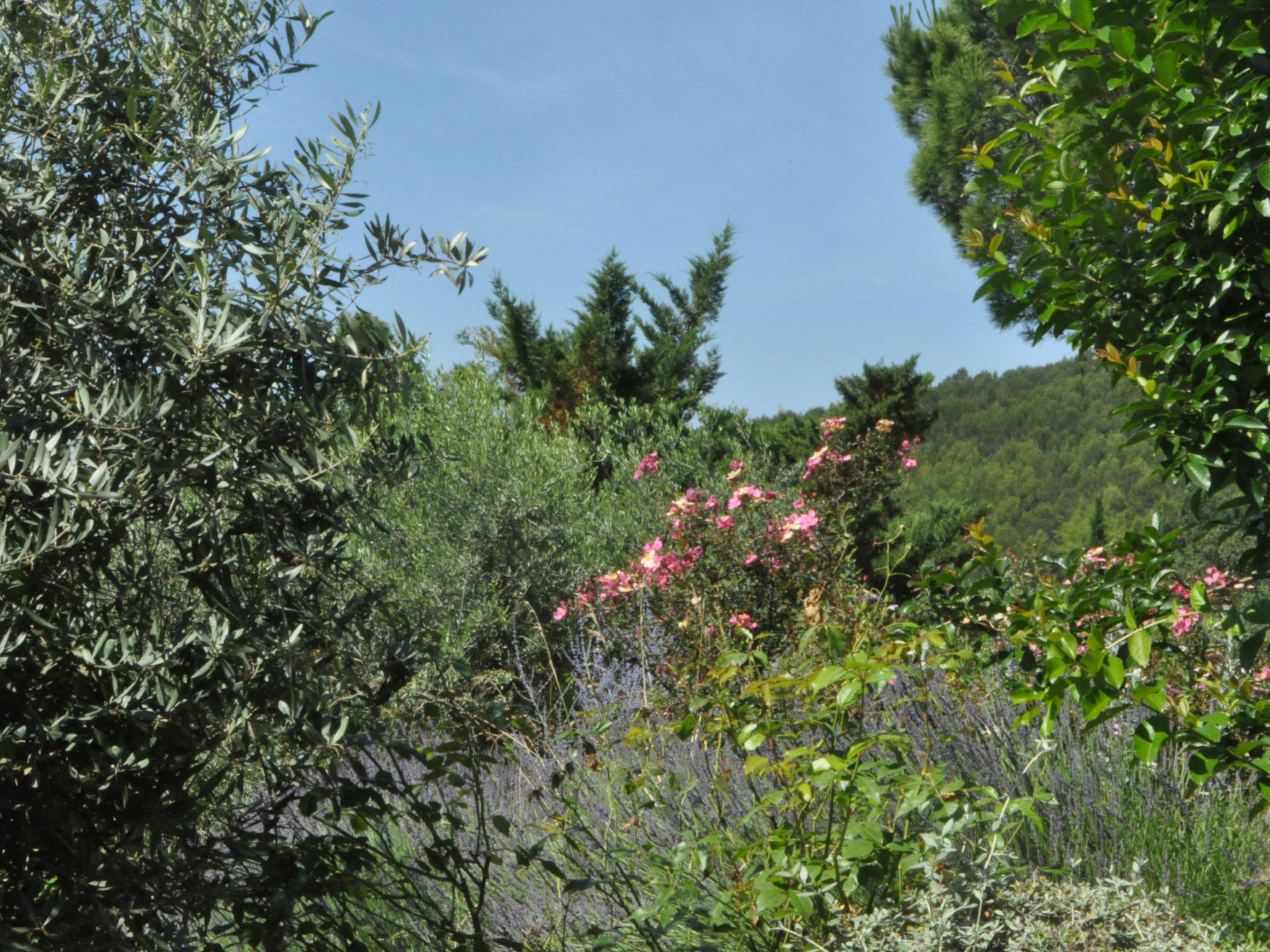 ARTS & FLORES - Buiten