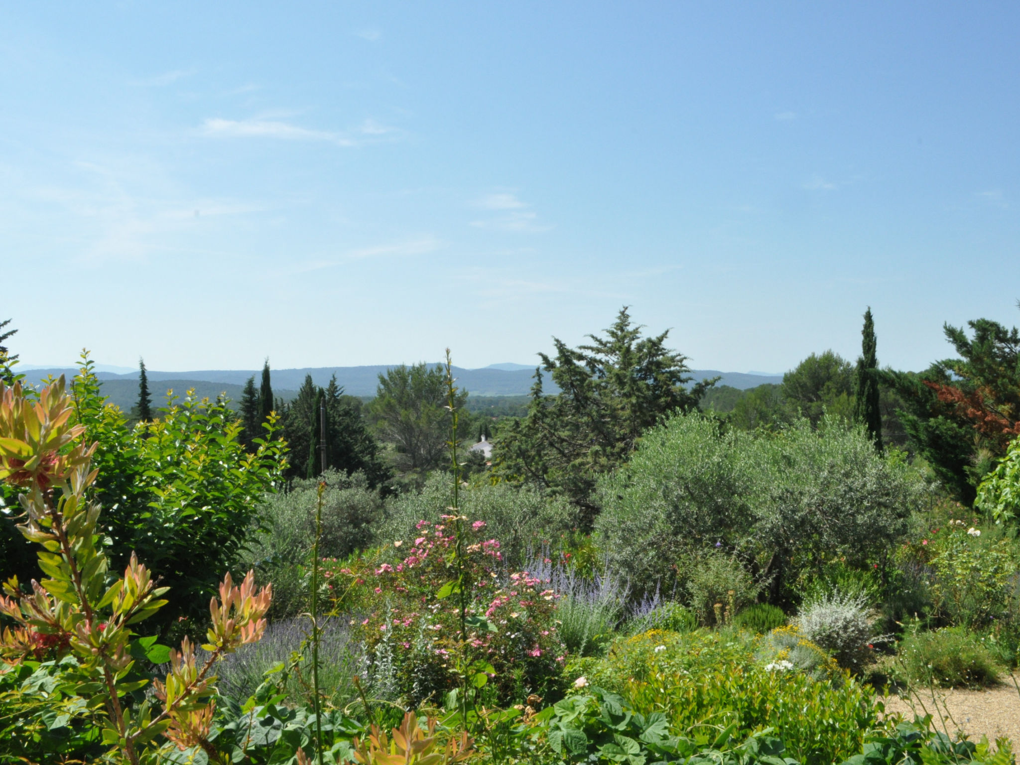 ARTS & FLORES - Buiten