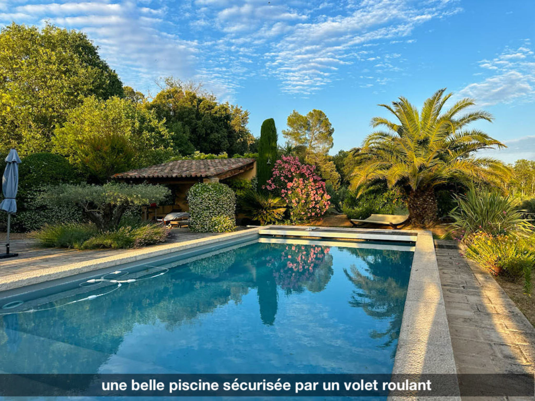 LA VOLIERE