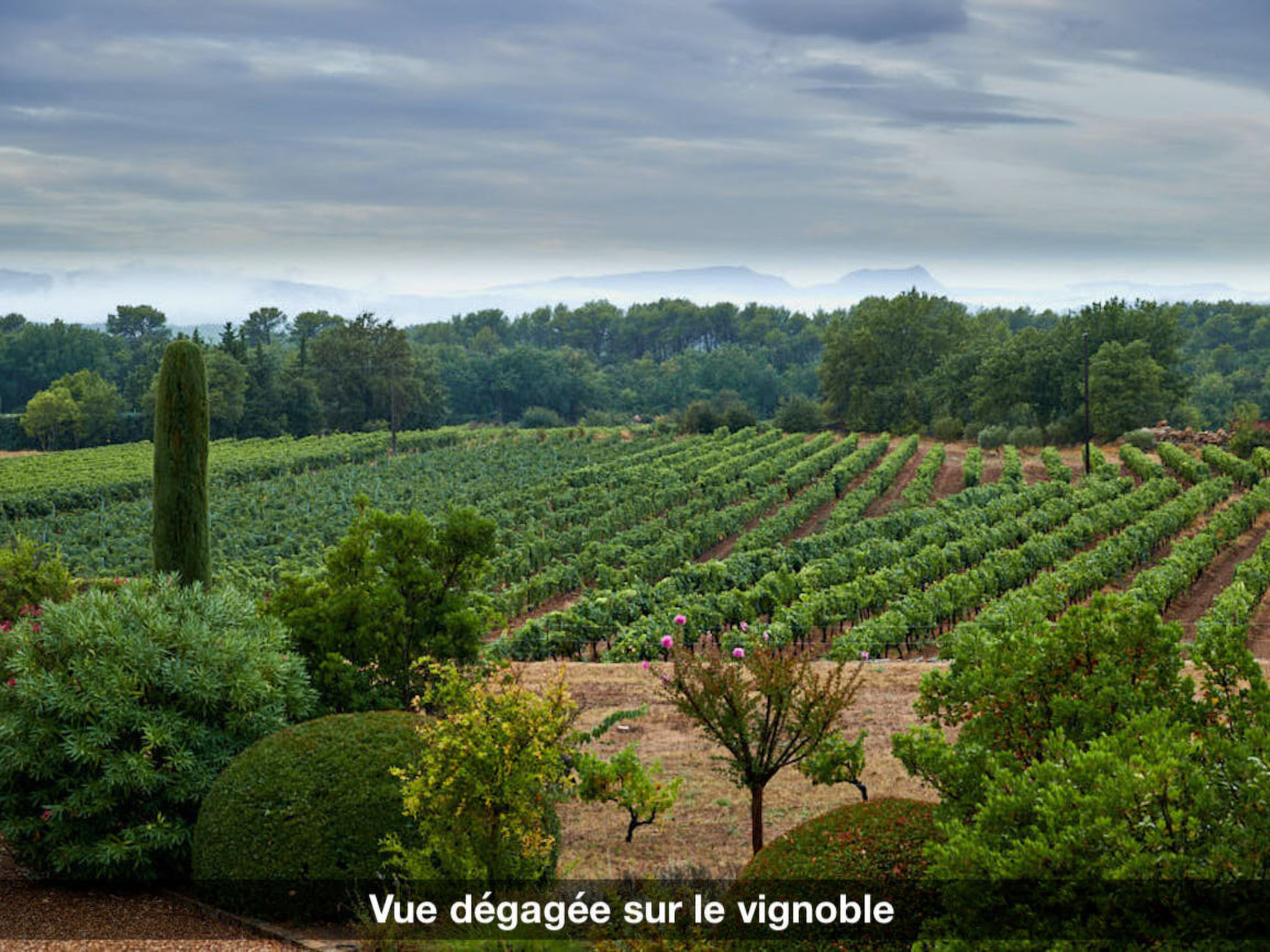 LA VOLIERE - Buiten