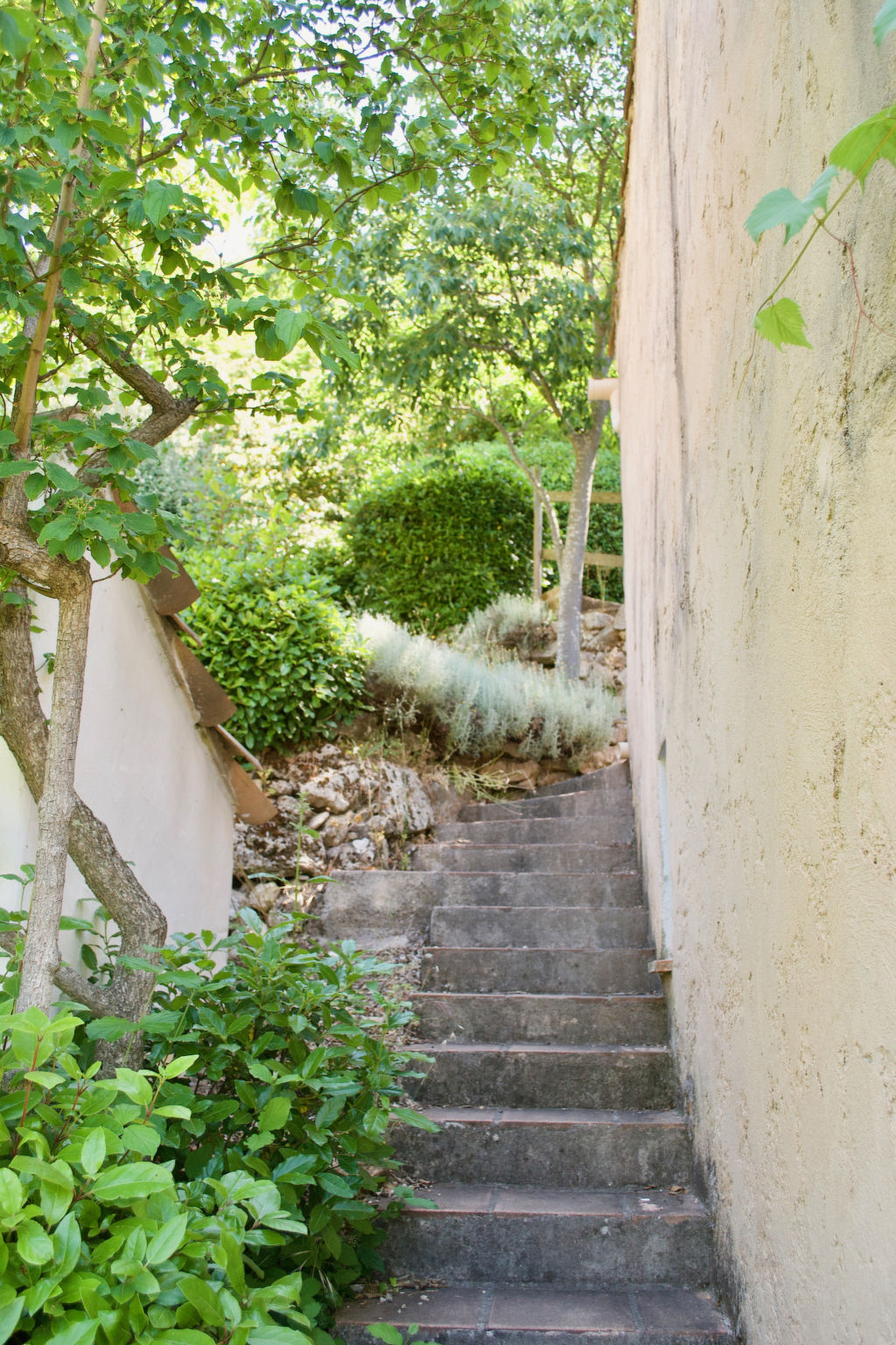 MAISON PERCHEE - Buiten