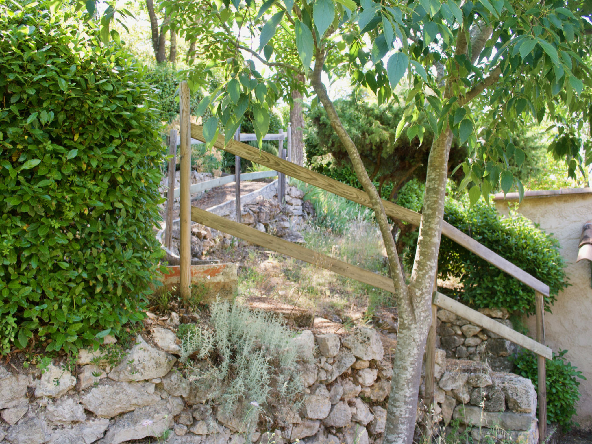 MAISON PERCHEE - Buiten