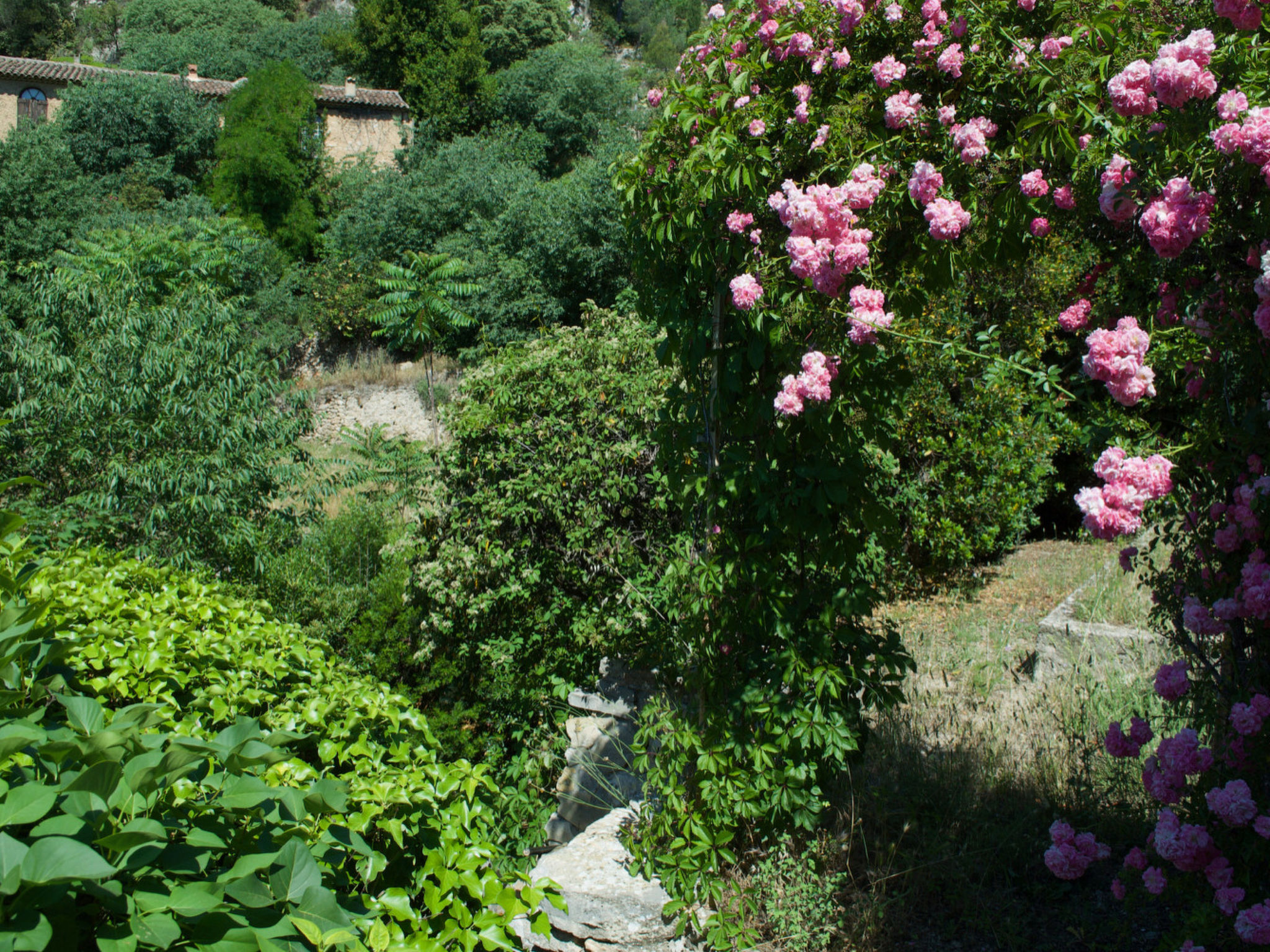 MAISON PERCHEE - Buiten