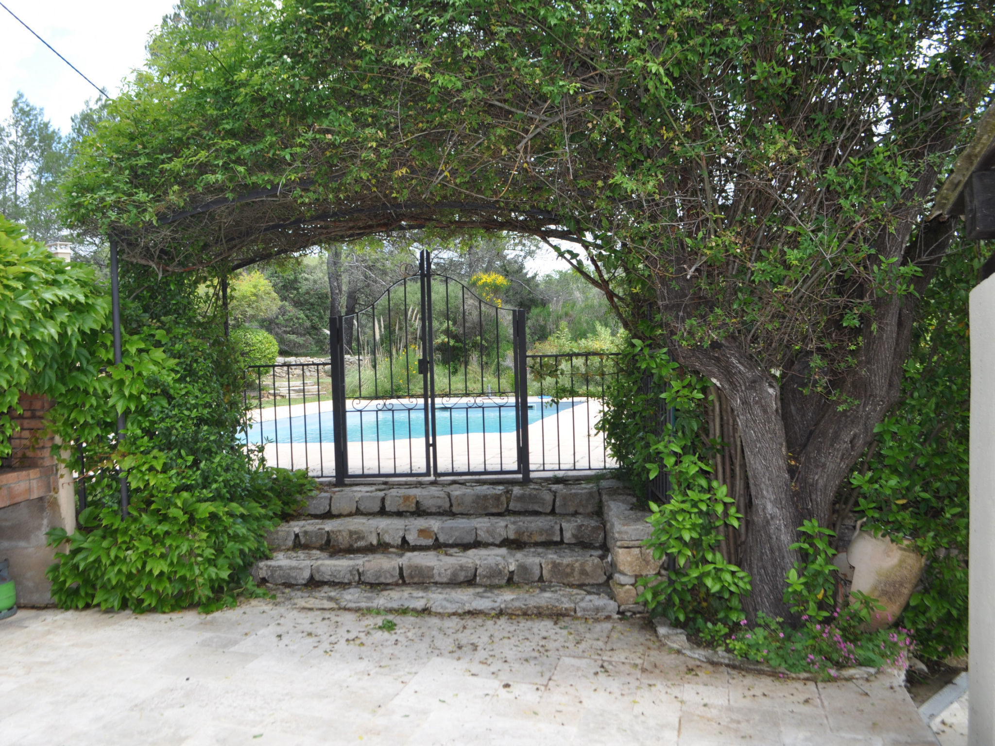 LES 2 PALMIERS - Buiten