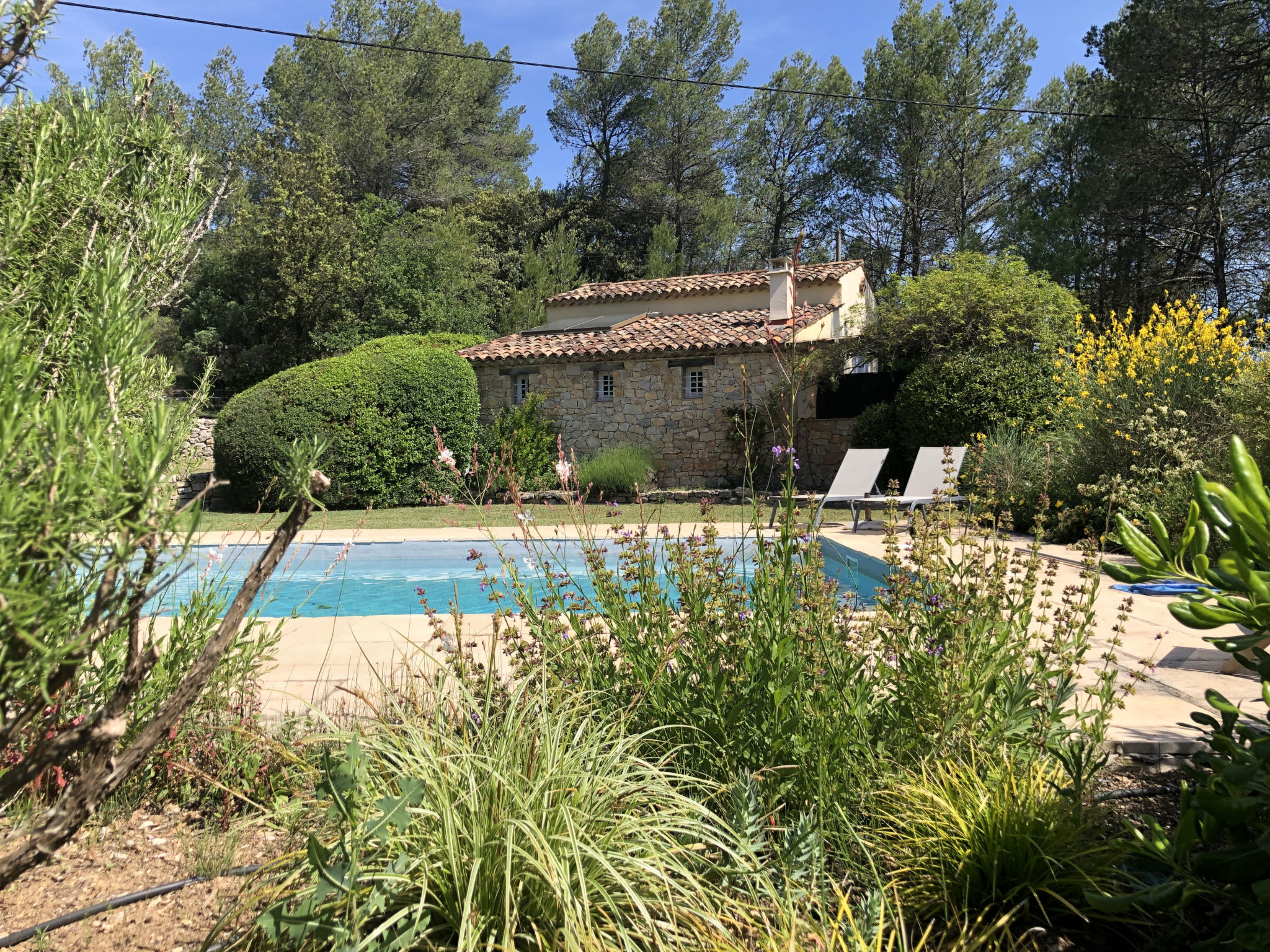 LES 2 PALMIERS
